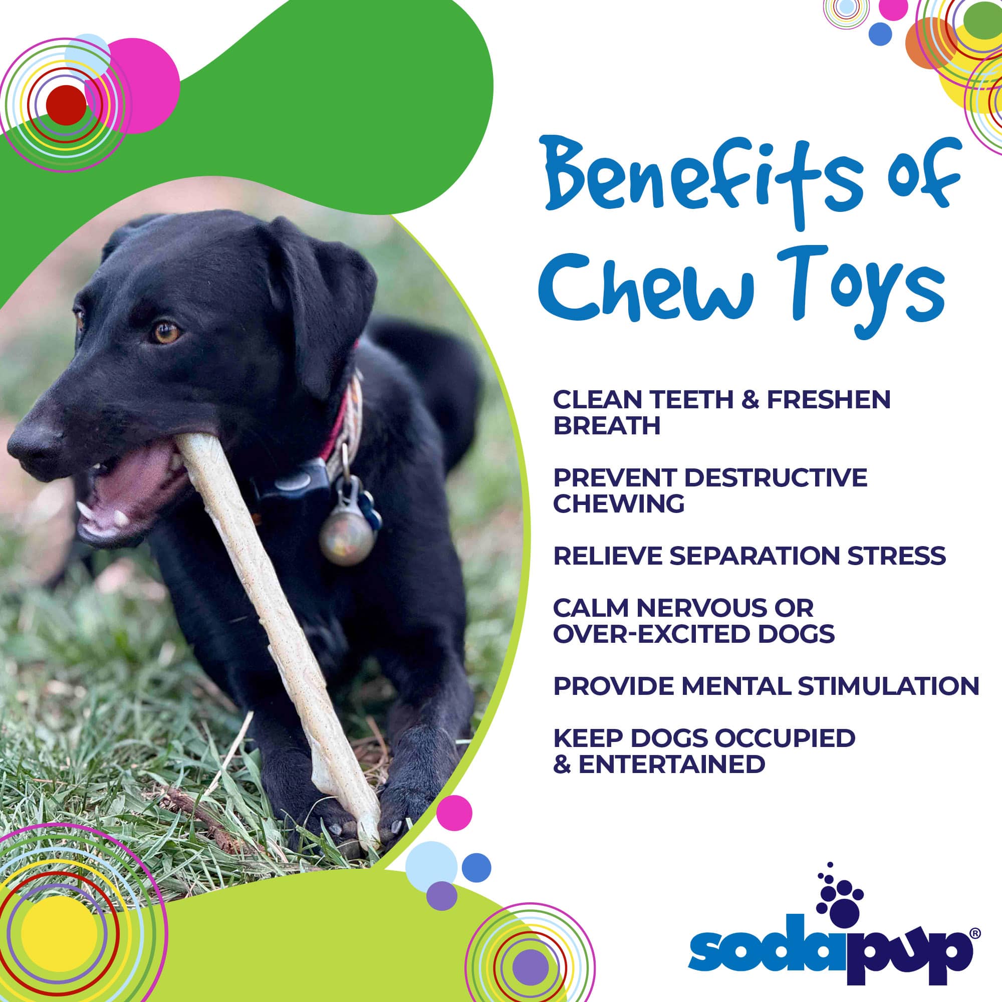 SodaPup Durable Nylon Chew Stick Power Chewers | Indestructible Dog Toy USA