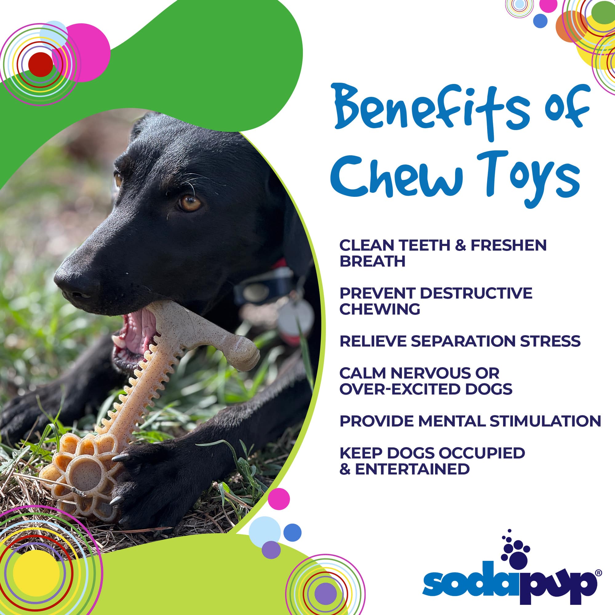 SodaPup Honey Bone Dental Flower Tower Indestructible Nylon Dog Chew Toy XL | USA