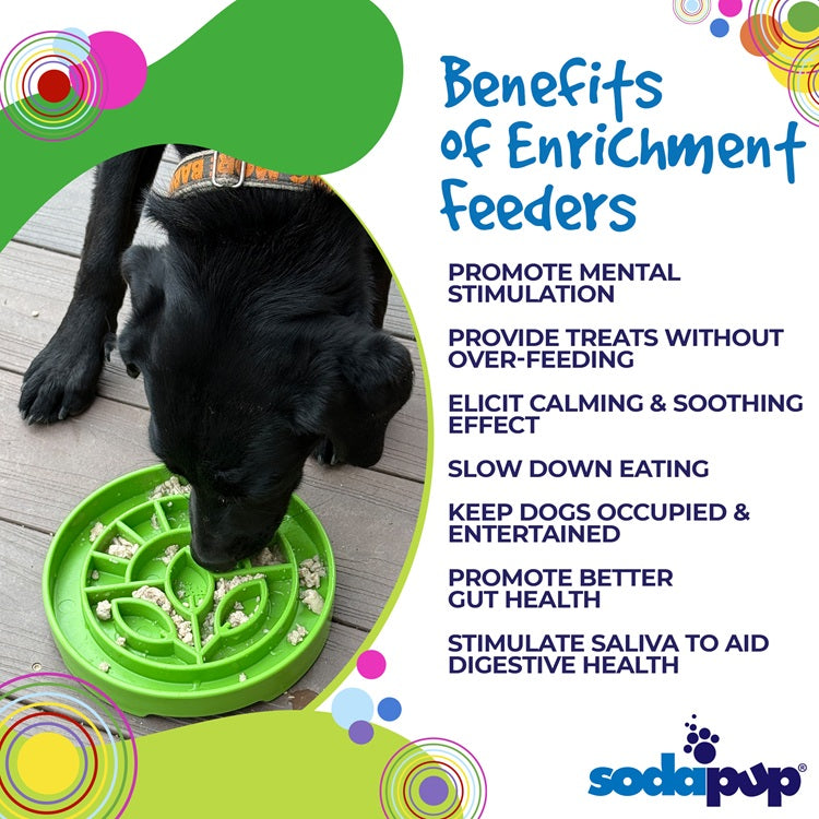 SodaPup Garden Design eTray Shallow Slow Feeder Dog Bowl Enrichment | USA