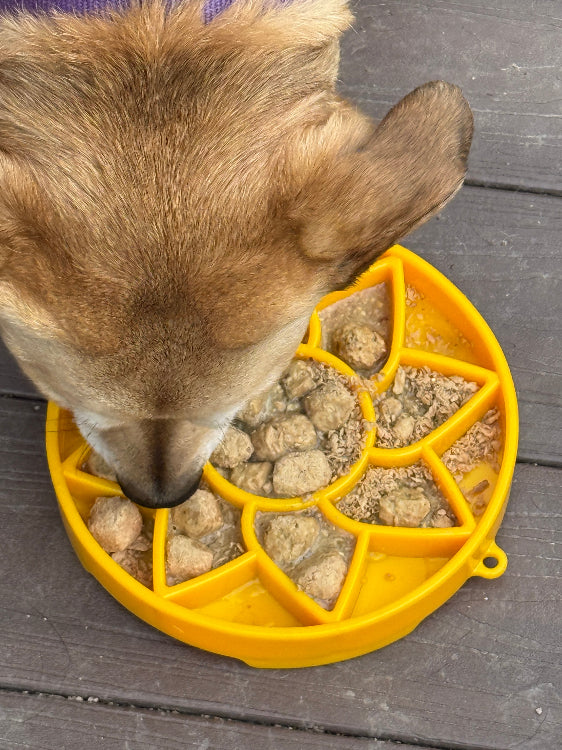 SodaPup Sunflower eTray Shallow Slow Feeder Dog Bowl Enrichment | USA Made