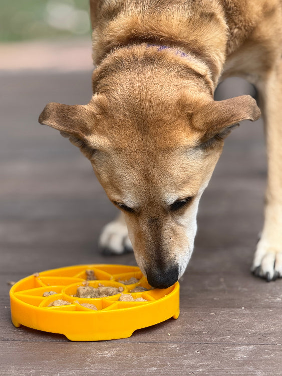SodaPup Sunflower eTray Shallow Slow Feeder Dog Bowl Enrichment | USA Made