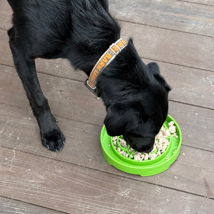 SodaPup Garden Design eTray Shallow Slow Feeder Dog Bowl Enrichment | USA