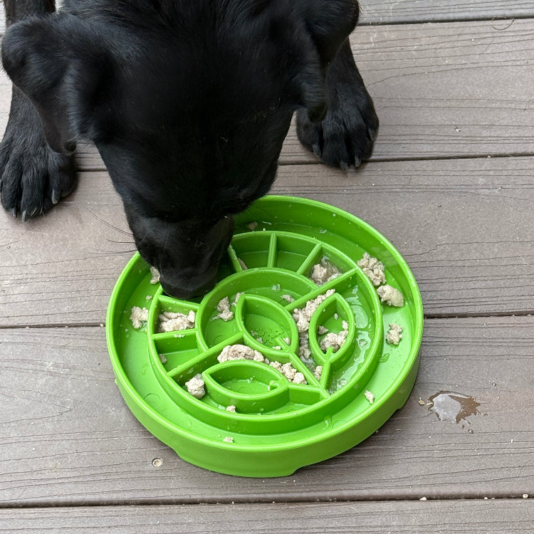 SodaPup Garden Design eTray Shallow Slow Feeder Dog Bowl Enrichment | USA