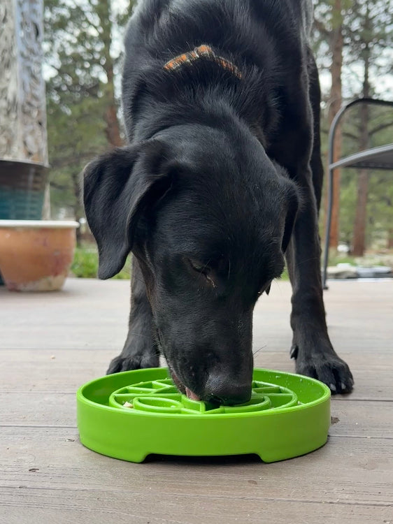 SodaPup Garden Design eTray Shallow Slow Feeder Dog Bowl Enrichment | USA
