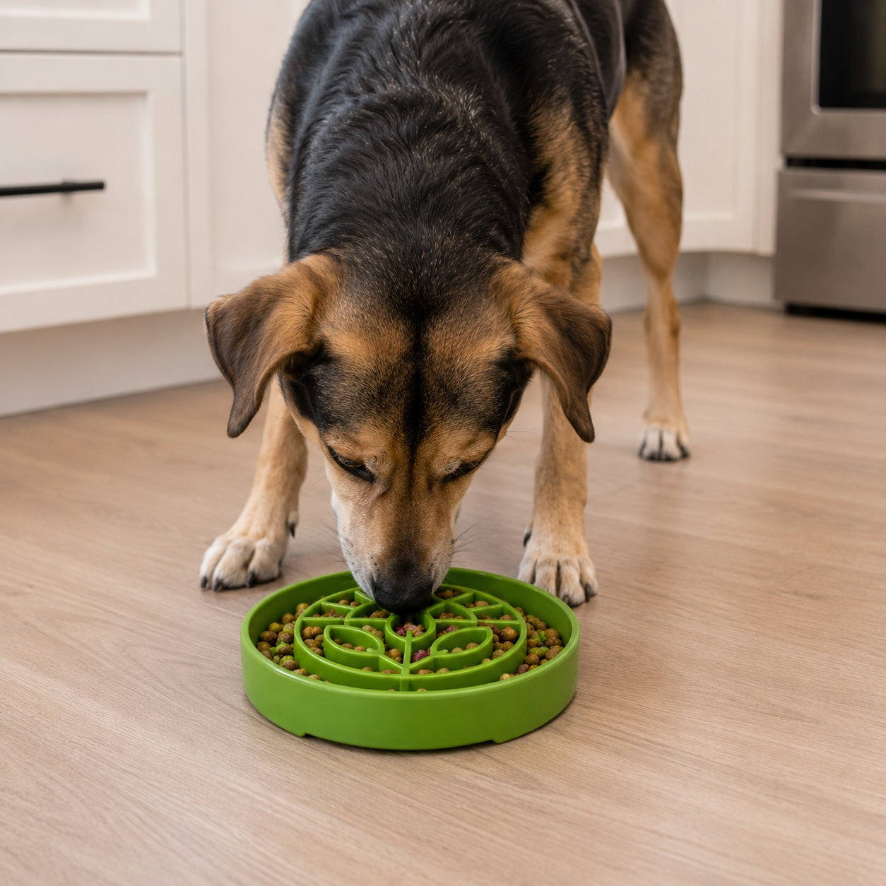 SodaPup Garden Design eTray Shallow Slow Feeder Dog Bowl Enrichment | USA