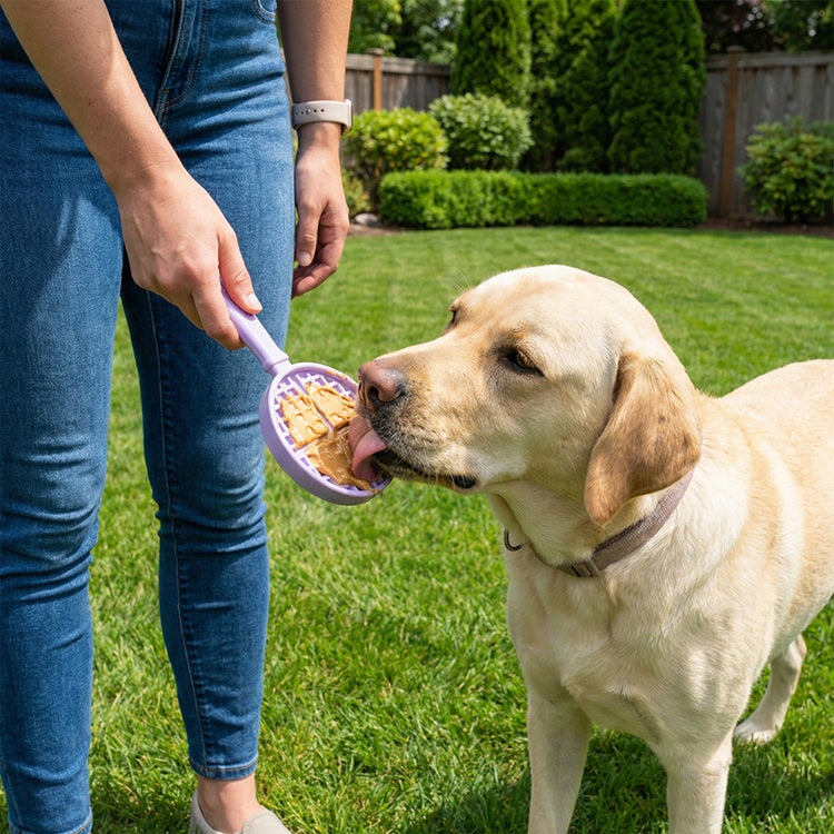 SodaPup eStick Hand-Held Dog Enrichment Toy Interactive Lick Stick | USA Made