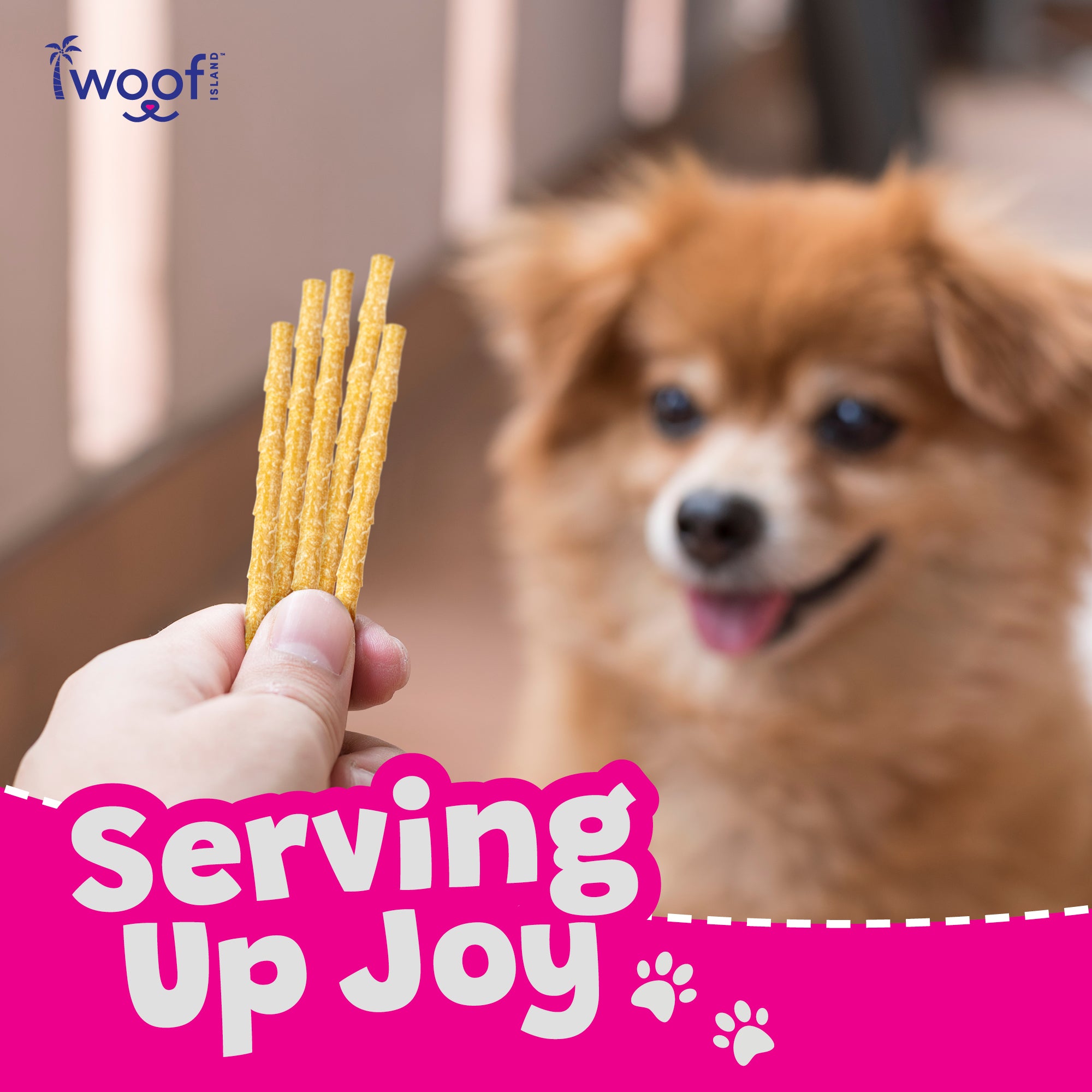 Woof Island Coconut Twist Stick Dog Chew, Rawhide-Free & Highly Digestible Dental Treat for Dogs - Image 7