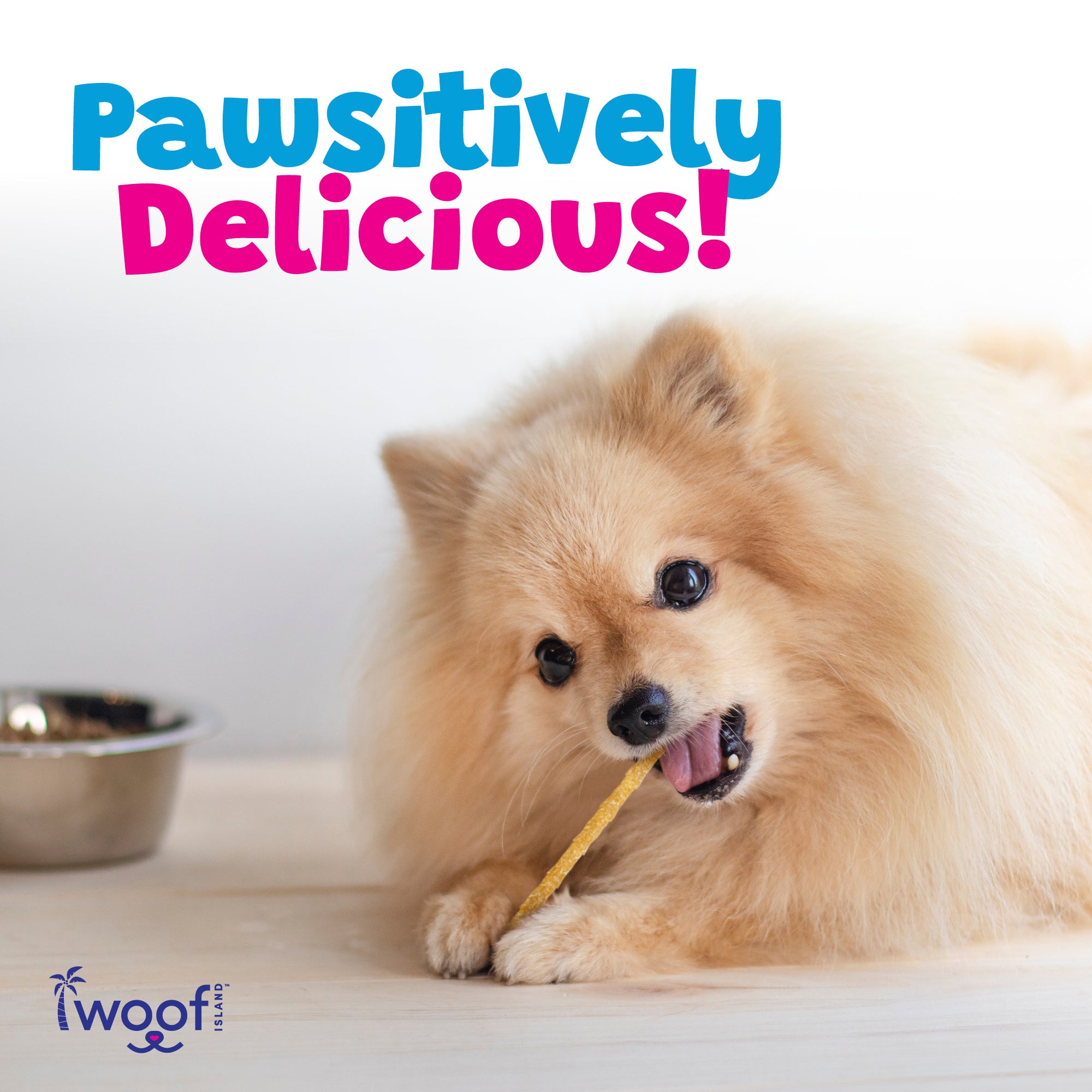 Woof Island Coconut Twist Stick Dog Chew, Rawhide-Free & Highly Digestible Dental Treat for Dogs - Image 8