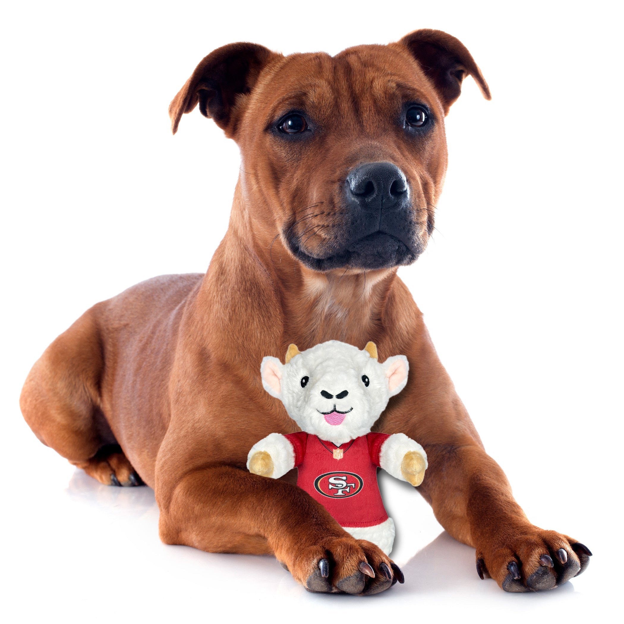 CHRISTIAN MCCAFFREY (SAN) GOAT PLUSH TOY - Image 3