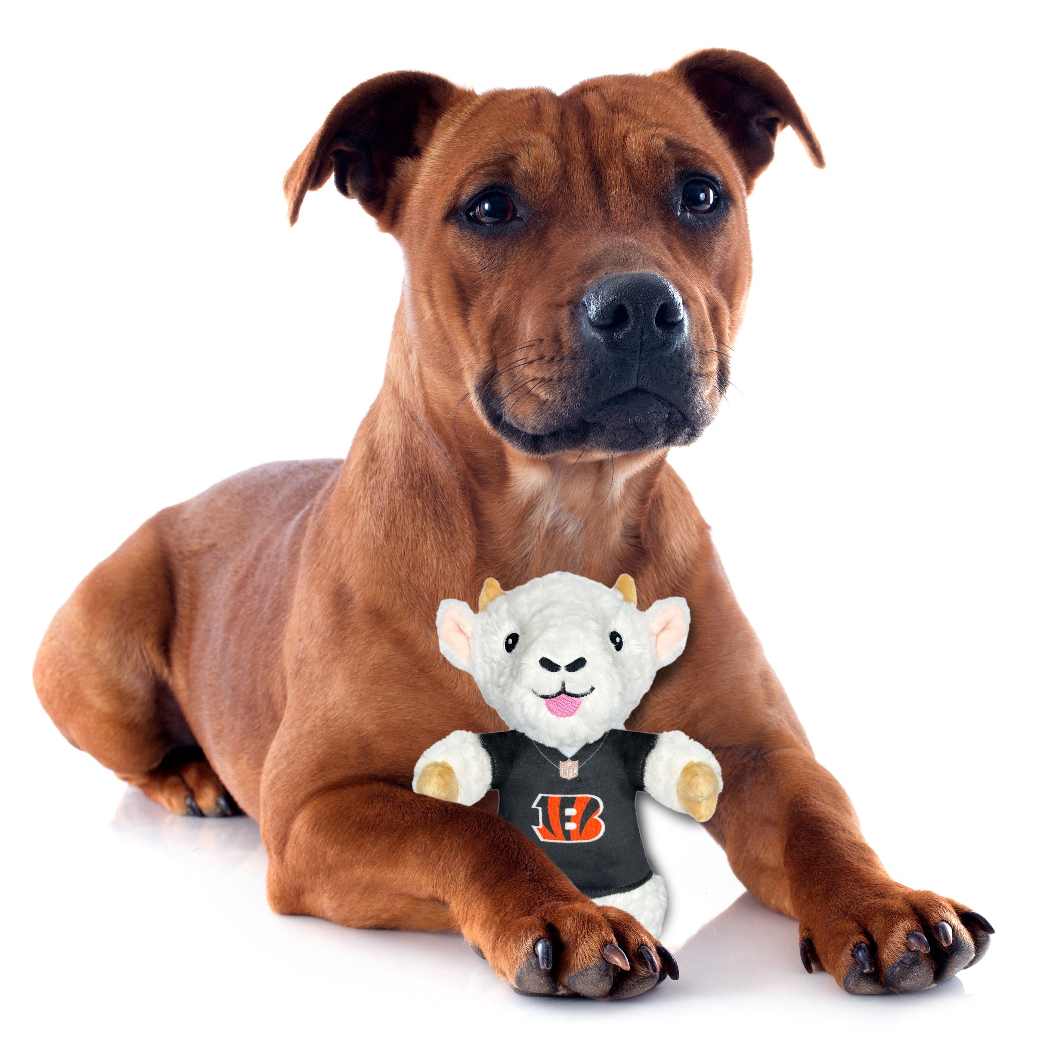 JOE BURROW (CIN) GOAT PLUSH TOY - Image 3