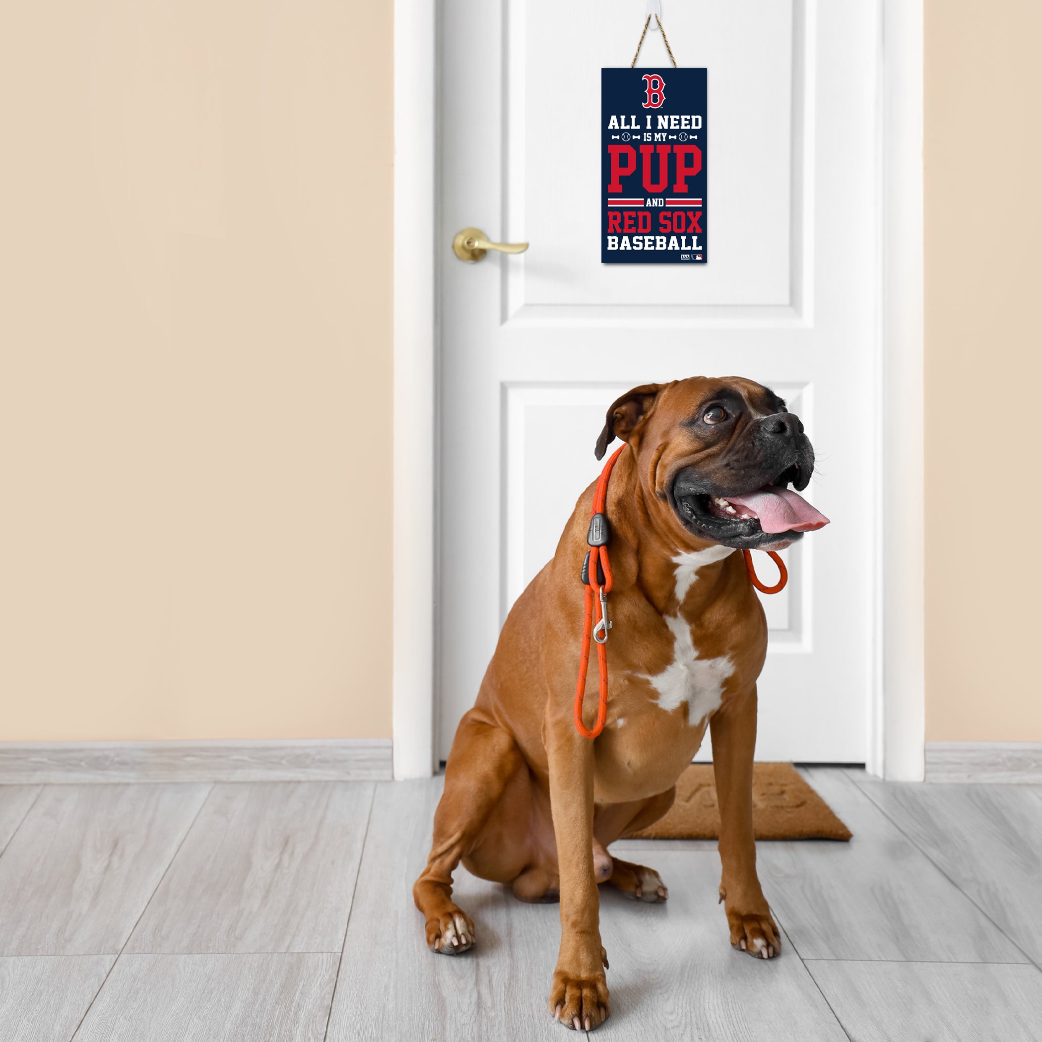 BOSTON RED SOX "ALL I NEED IS MY PUP AND BASEBALL" SIGN - Image 2