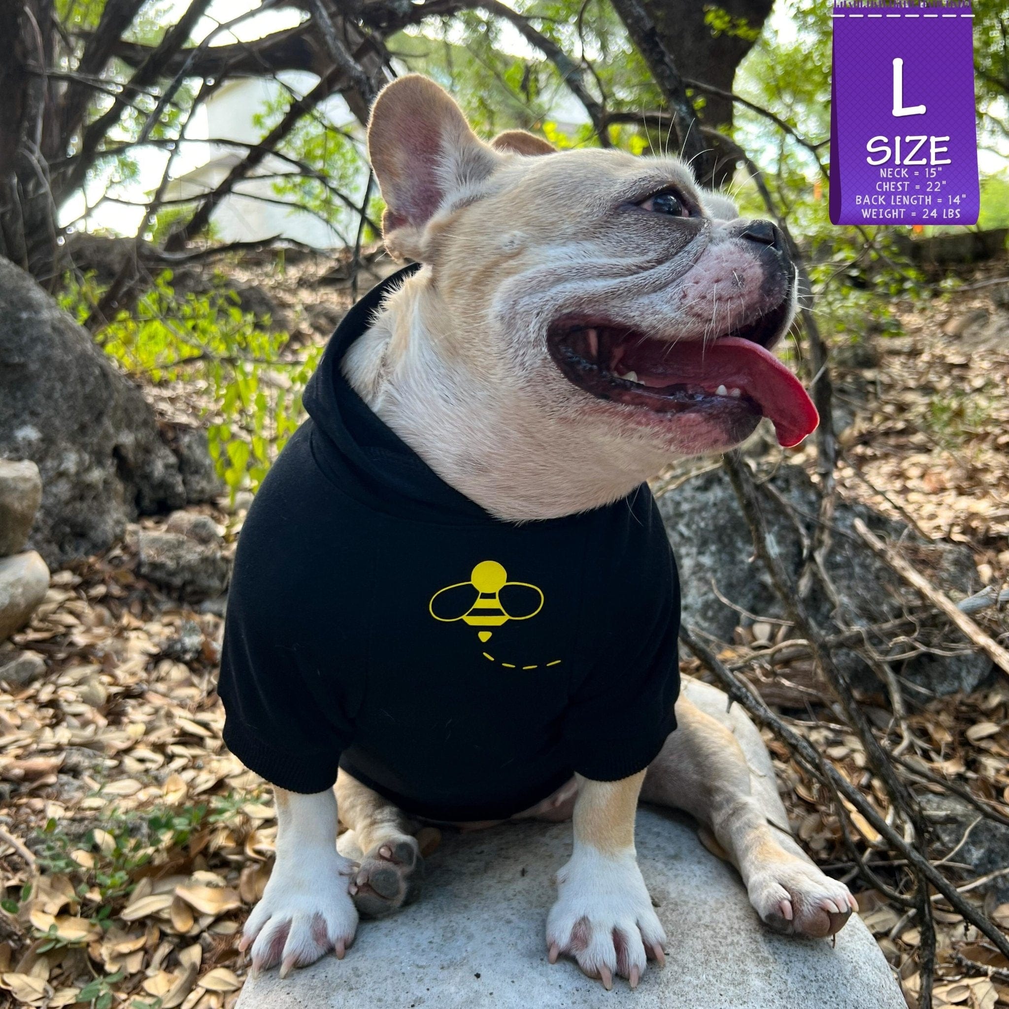 Hooded Sweatshirt For Dogs - French Bulldog wearing "Bee Kind" hooded sweatshirt in black with swarming yellow bee emoji on chest - sitting outdoors against a fall background - Wag Trendz