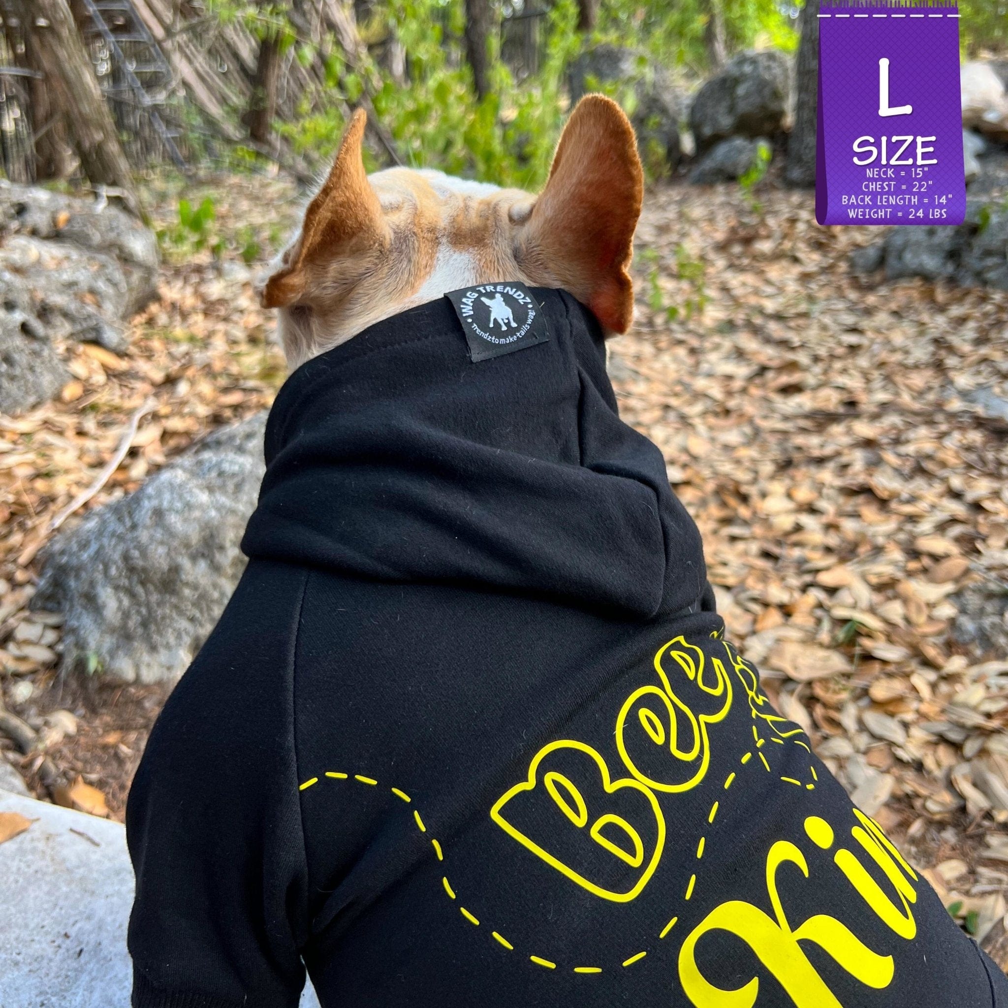 Hooded Sweatshirt For Dogs - French Bulldog wearing "Bee Kind" hooded sweatshirt in black with Bee Kind in yellow - sitting with back to camera outdoors against a fall background - Wag Trendz