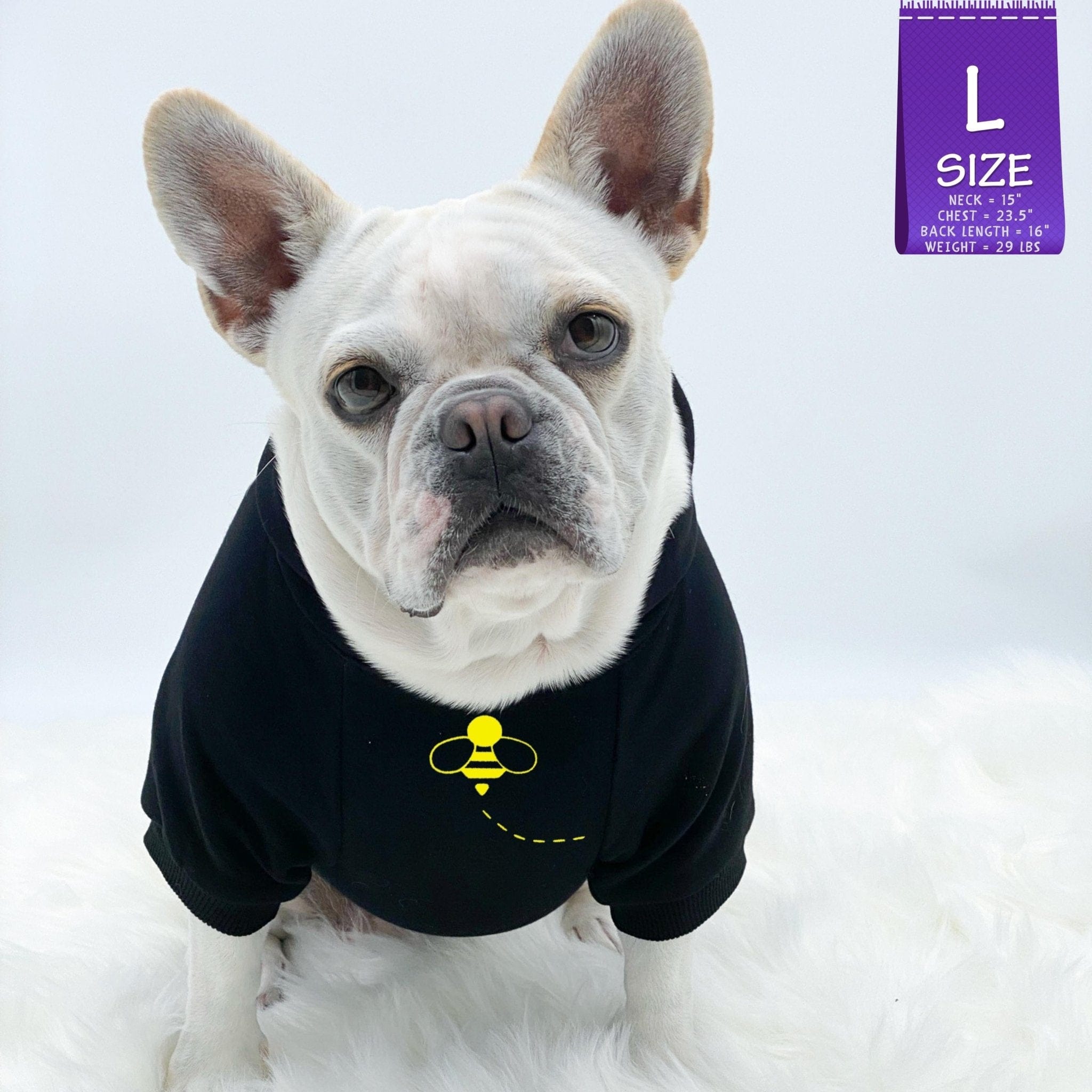 Hooded Sweatshirt For Dogs - French Bulldog wearing "Bee Kind" hooded sweatshirt in black with swarming black and yellow bee on front - against a solid white background - Wag Trendz