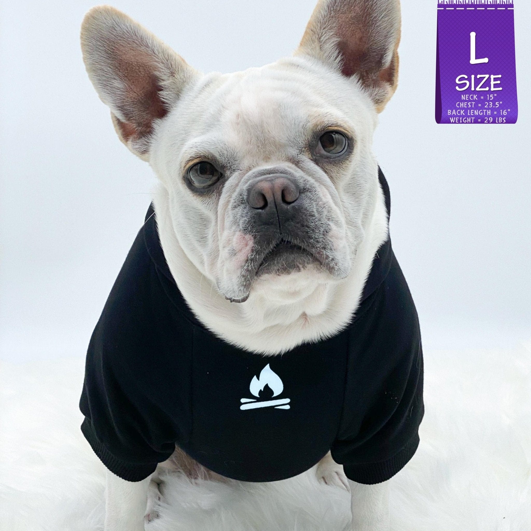 Hooded Sweatshirt For Dogs - French Bulldog wearing "Happy Camper" hooded sweatshirt in black - campfire emoji on front chest - against solid white background - Wag Trendz