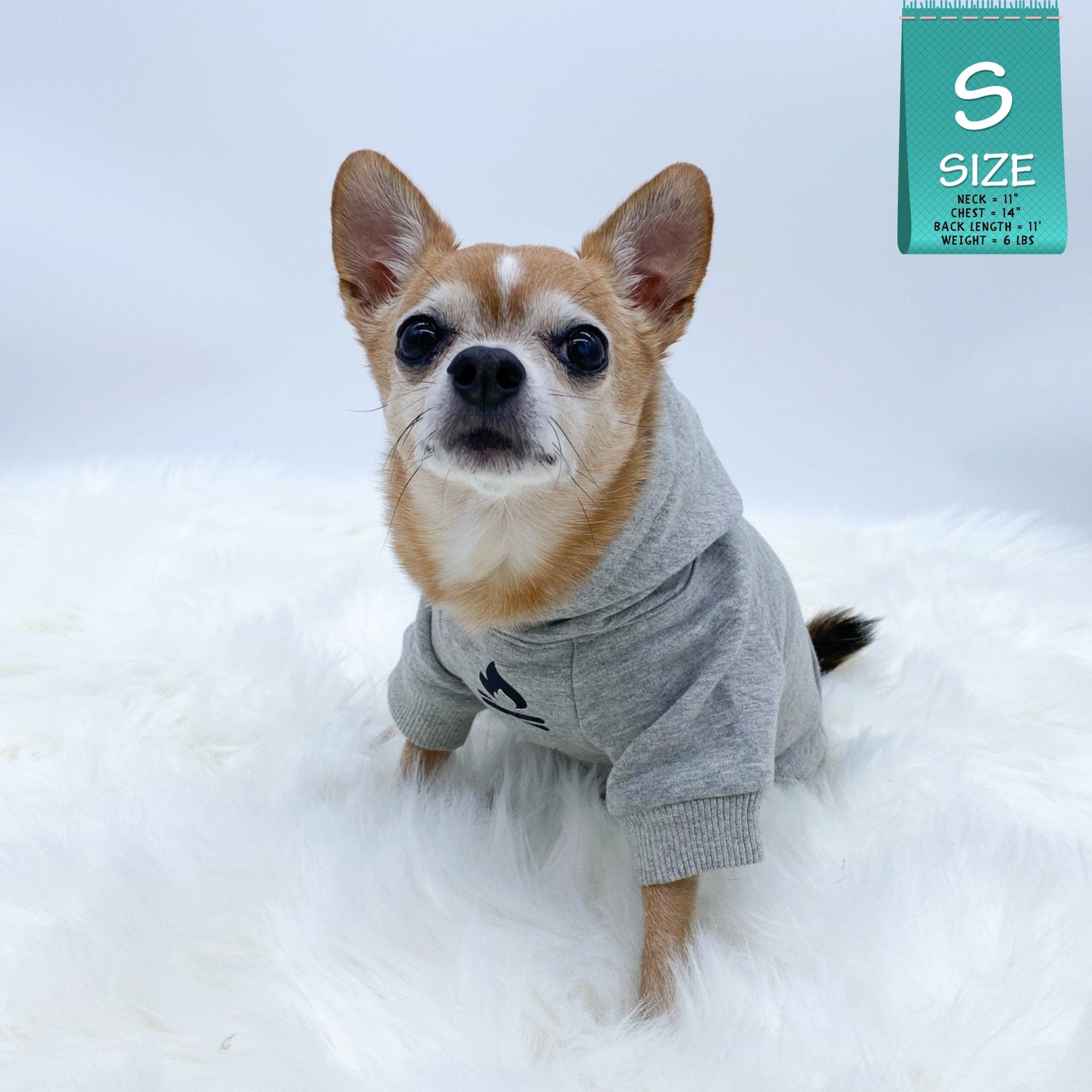 Hooded Sweatshirt For Dogs - Chihuahua wearing "Happy Camper" hooded sweatshirt in gray - campfire emoji on front chest - against solid white background - Wag Trendz