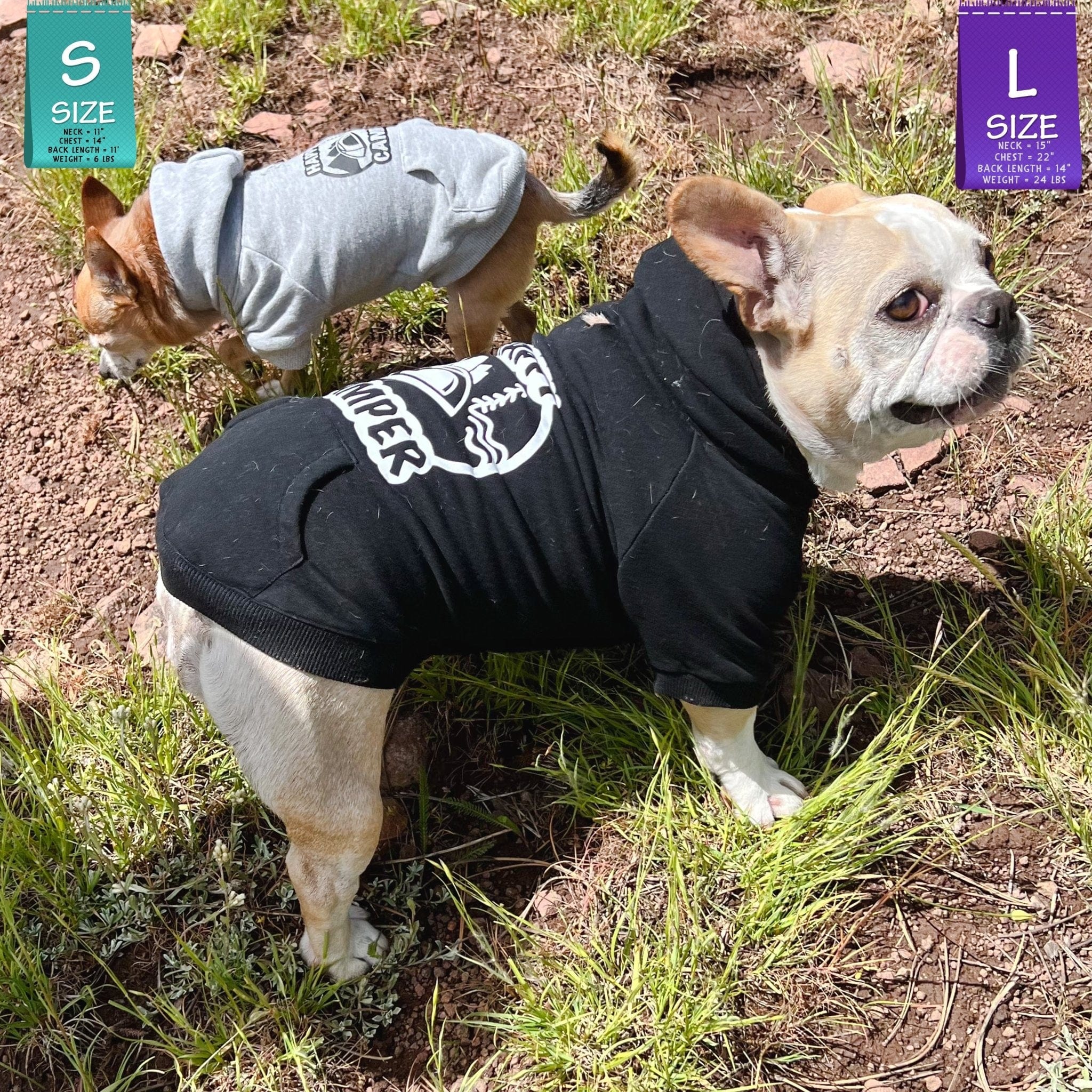 Hooded Sweatshirt For Dogs - French Bulldog and Chihuahua wearing "Happy Camper" hooded sweatshirt in black and gray respectively - with Happy Camper camping scene on the back - standing in a grassy field - Wag Trendz