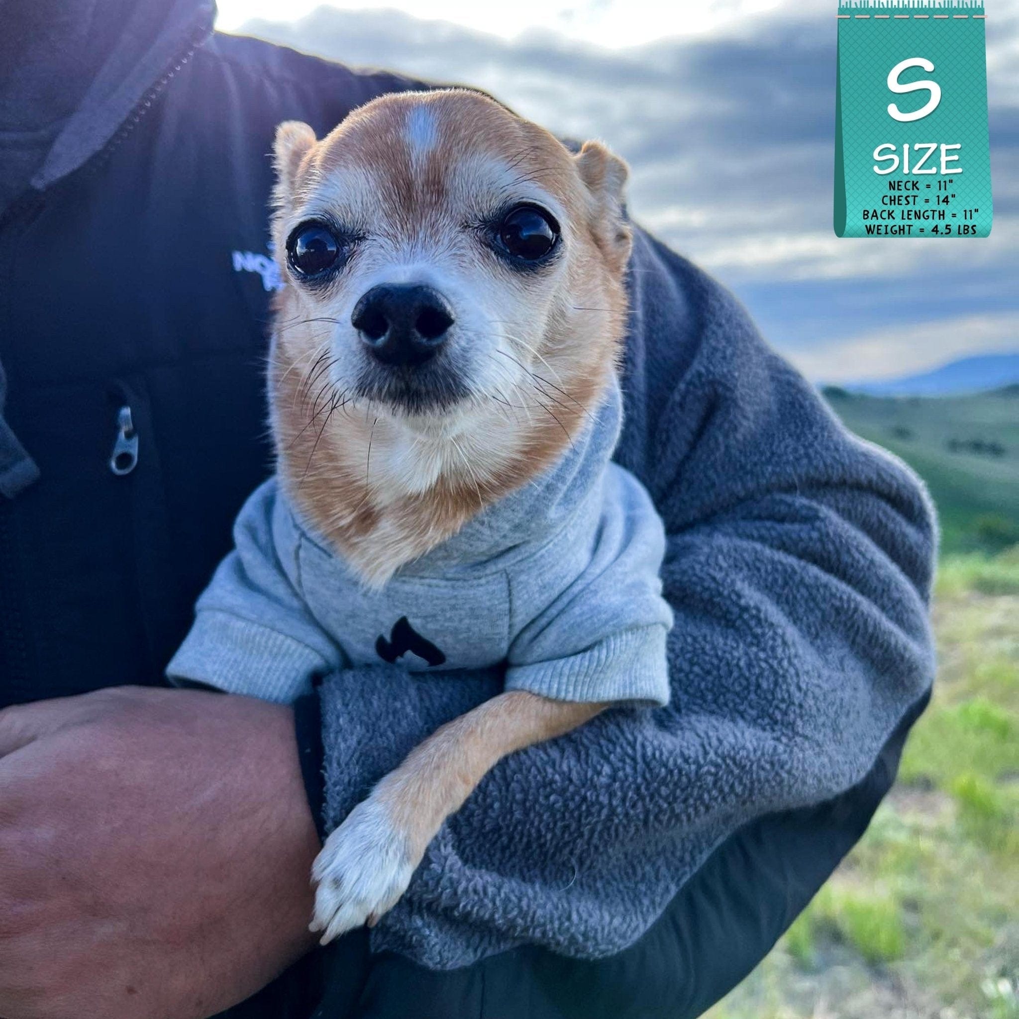 Hooded Sweatshirt For Dogs - Chihuahua wearing "Happy Camper" hooded sweatshirt in gray - campfire emoji on front chest - being held by a human outdoors - Wag Trendz