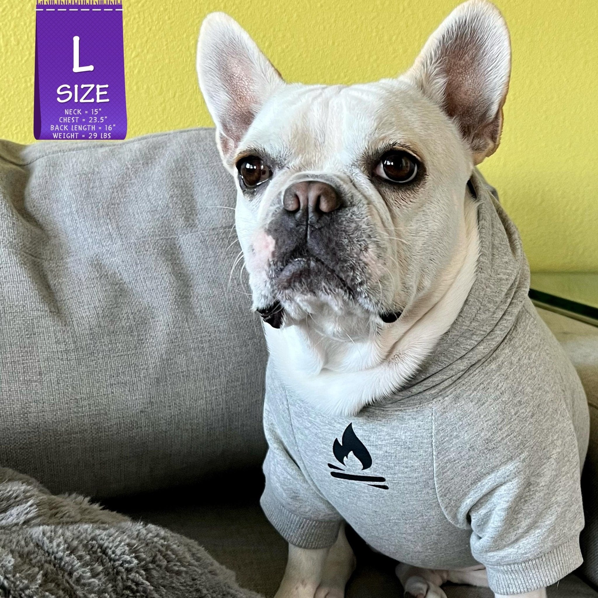 Hooded Sweatshirt For Dogs - French Bulldog wearing "Happy Camper" hooded sweatshirt in gray - campfire emoji on front chest - indoors sitting on a gray sofa - Wag Trendz