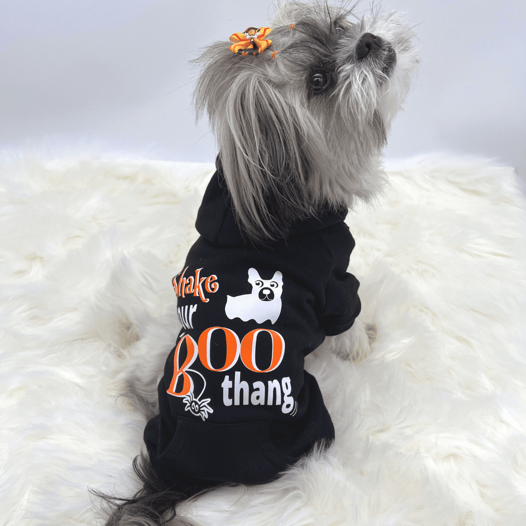 Hooded Sweatshirt For Dogs - Halloween - small dog wearing "Shake Your BOO Thang" hooded sweatshirt in black - back view - against solid white background - Wag Trendz