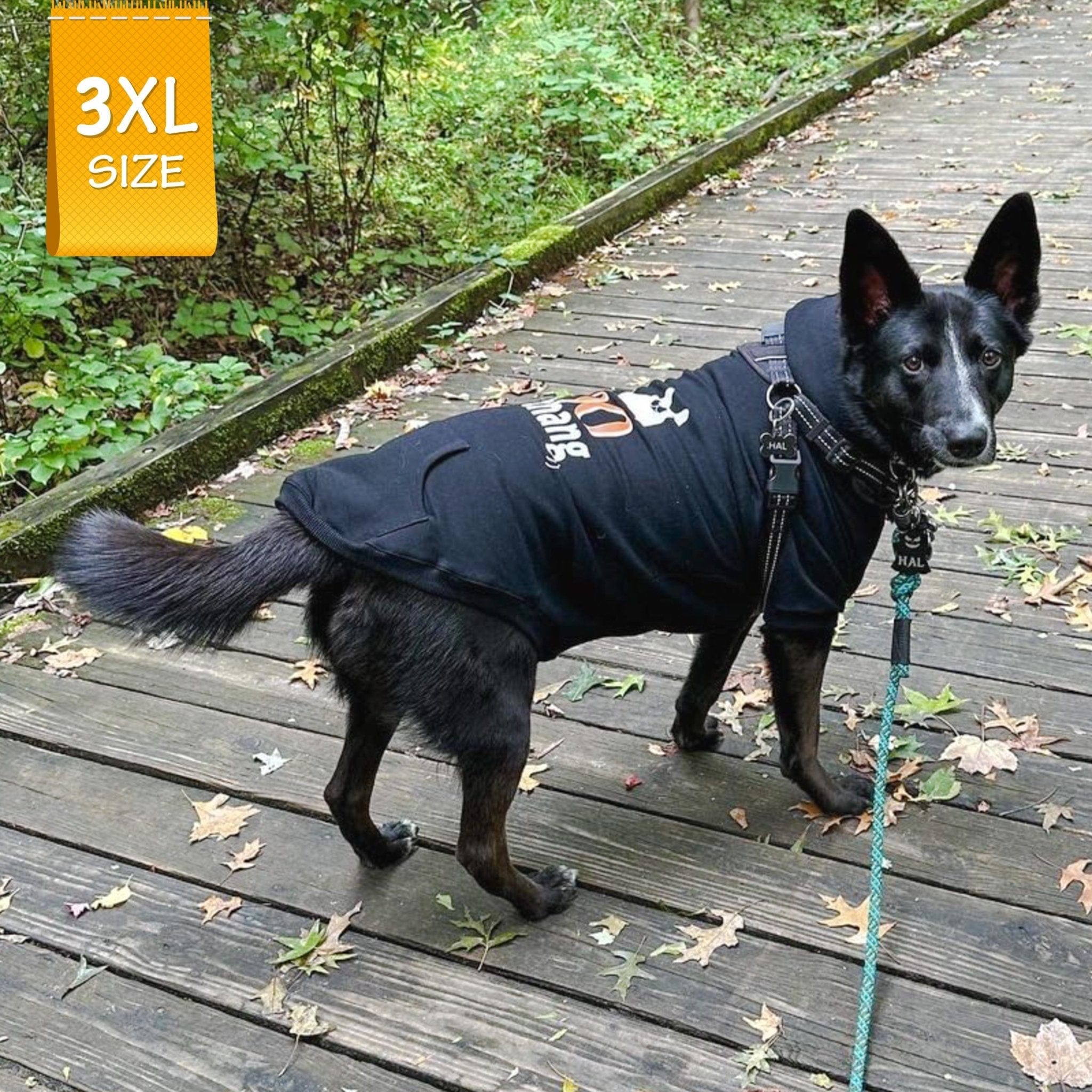 Hooded Sweatshirt For Dogs - Large Dog wearing "Shake Your Boo Thang" hooded sweatshirt in black - walking outdoors on a boardwalk - Wag Trendz