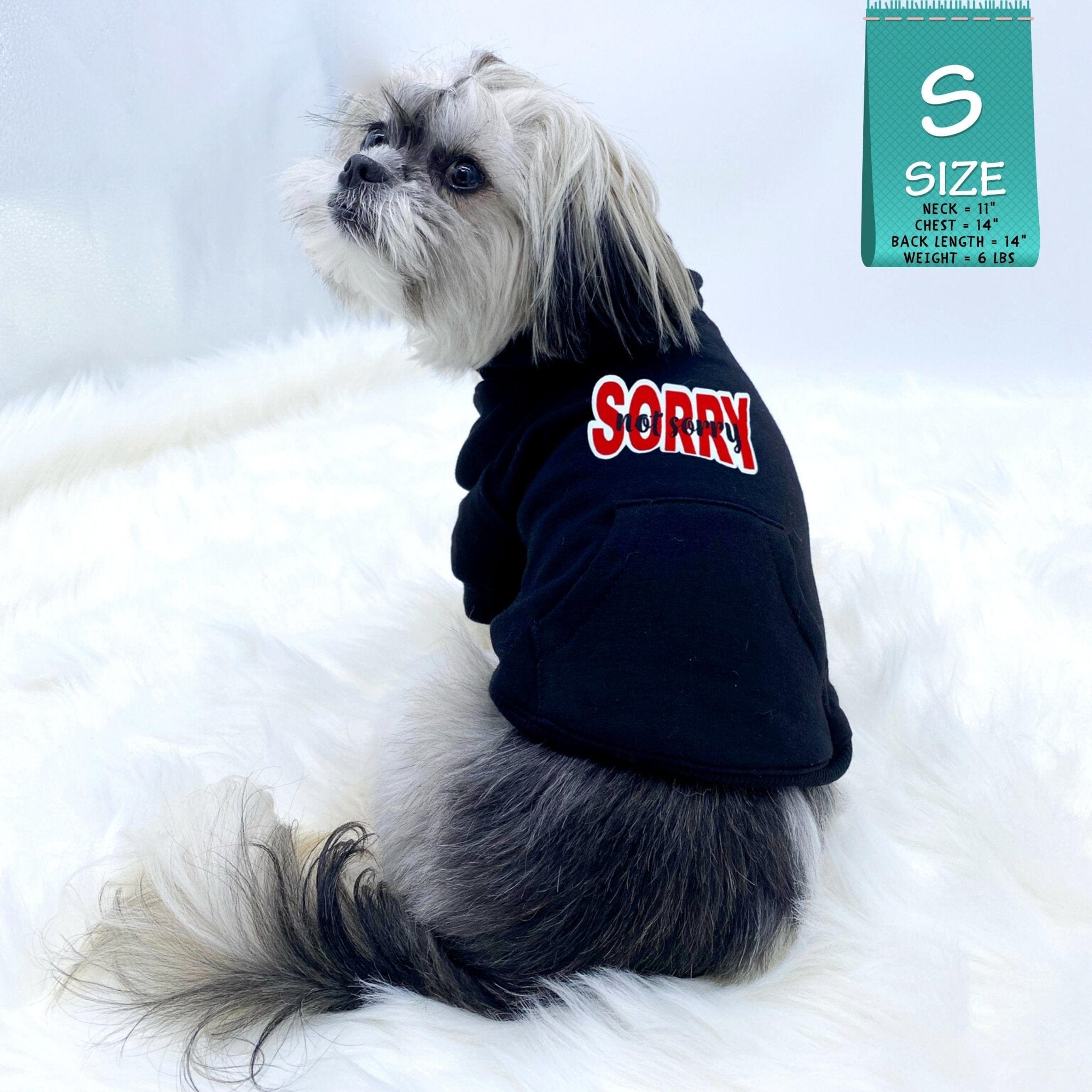 Hooded Sweatshirt For Dogs - Shih Tzu mix wearing "Sorry Not Sorry" hooded sweatshirt in black - back view has Sorry Not Sorry with red accents - against solid white background - Wag Trendz