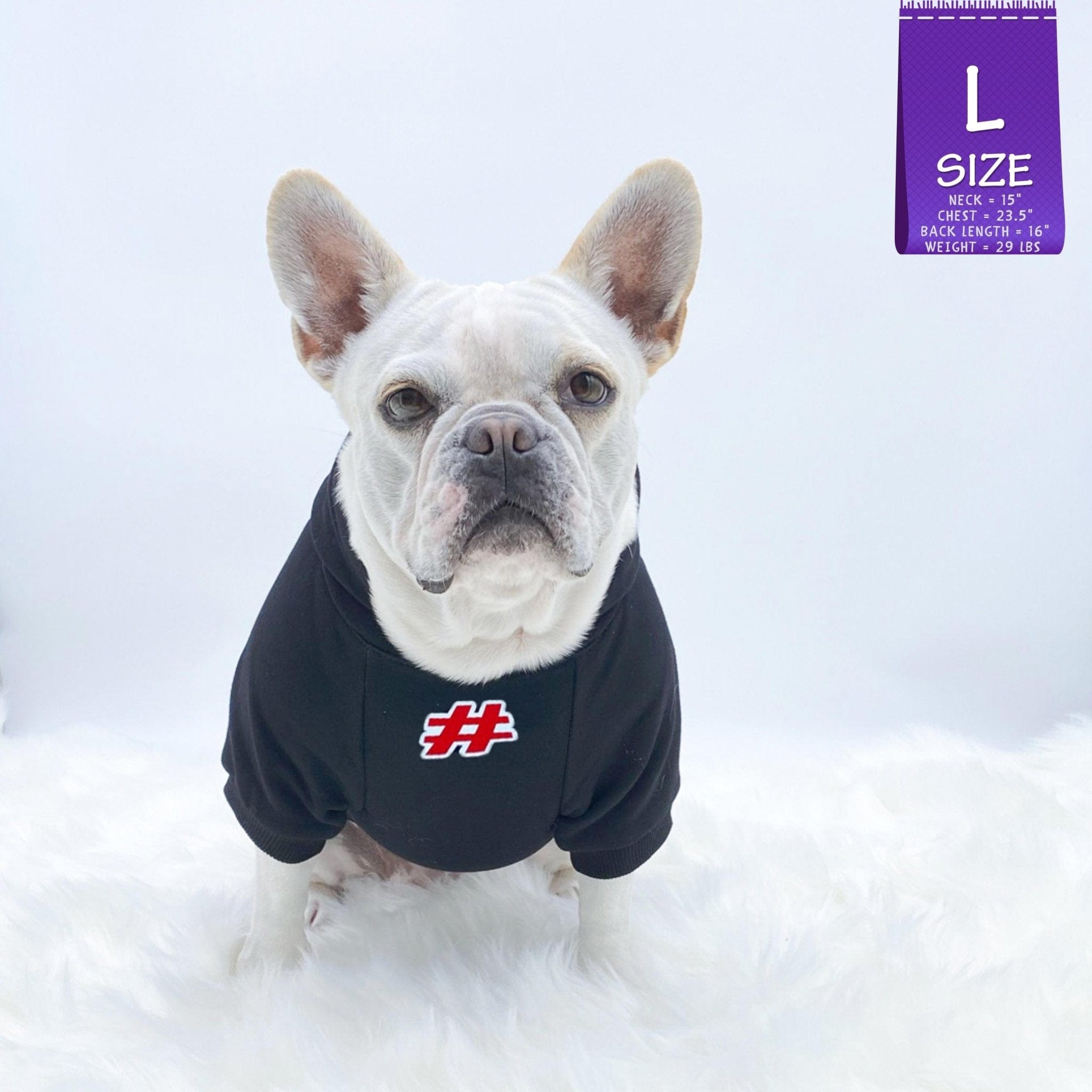 Hooded Sweatshirt For Dogs - French Bulldog wearing "Sorry Not Sorry" hooded sweatshirt in black - front view has a # outlined in red - against solid white background - Wag Trendz