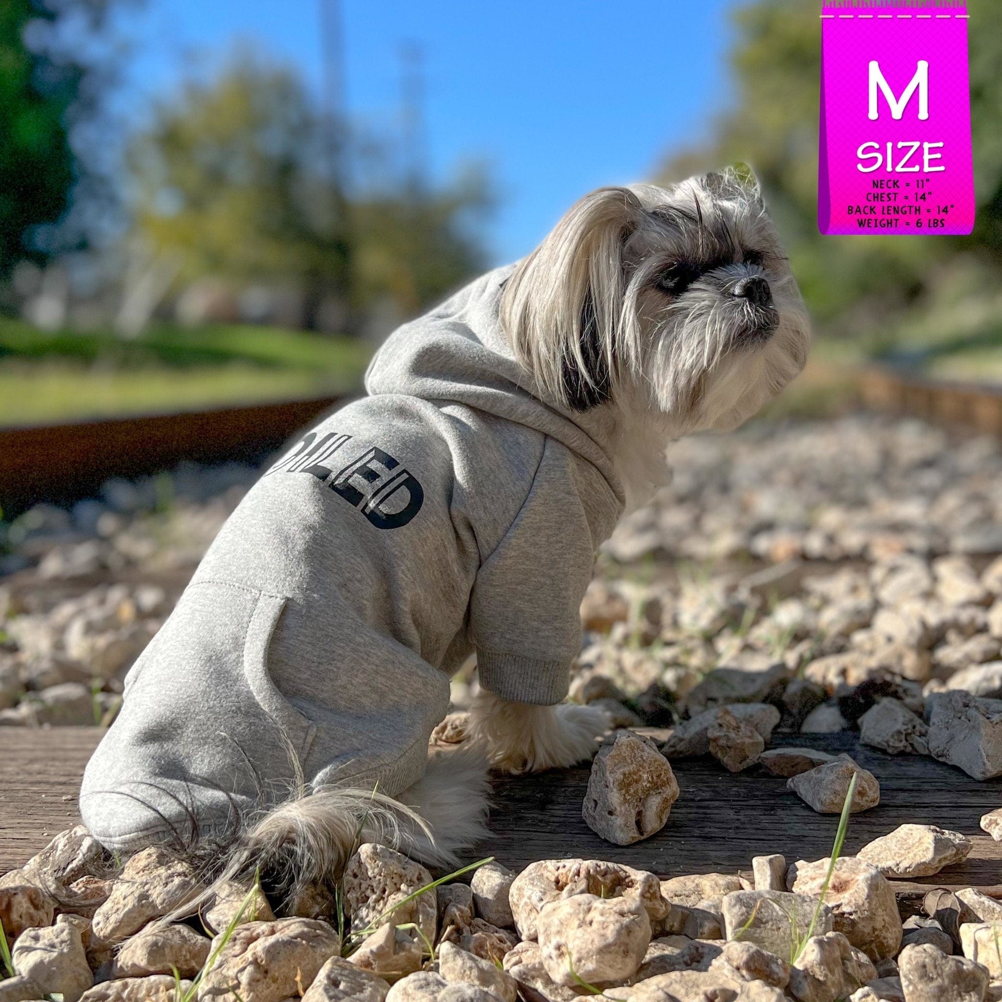 Hooded Sweatshirt For Dogs - Small dog wearing “SPOILED” hooded sweatshirt in gray - backside view with SPOILED in black lettering - outdoors on a railroad track - Wag Trendz