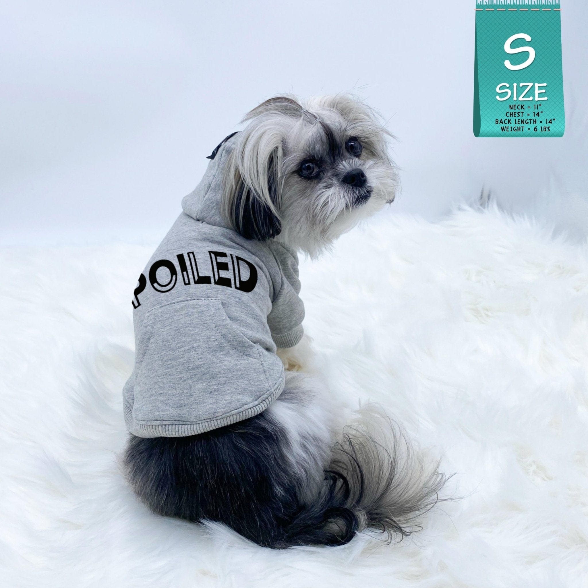 Hooded Sweatshirt For Dogs - Shih Tzu wearing “SPOILED” hooded sweatshirt in gray - backside view with SPOILED in black lettering - against a solid white background - Wag Trendz