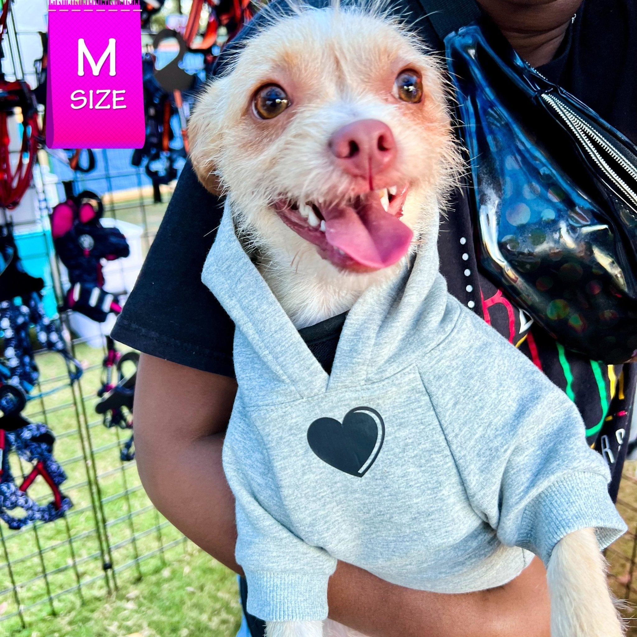 Hooded Sweatshirt For Dogs - Terrier Small Dog wearing “SPOILED” hooded sweatshirt in gray - front chest has a solid heart emoji - outside being held by a human - Wag Trendz