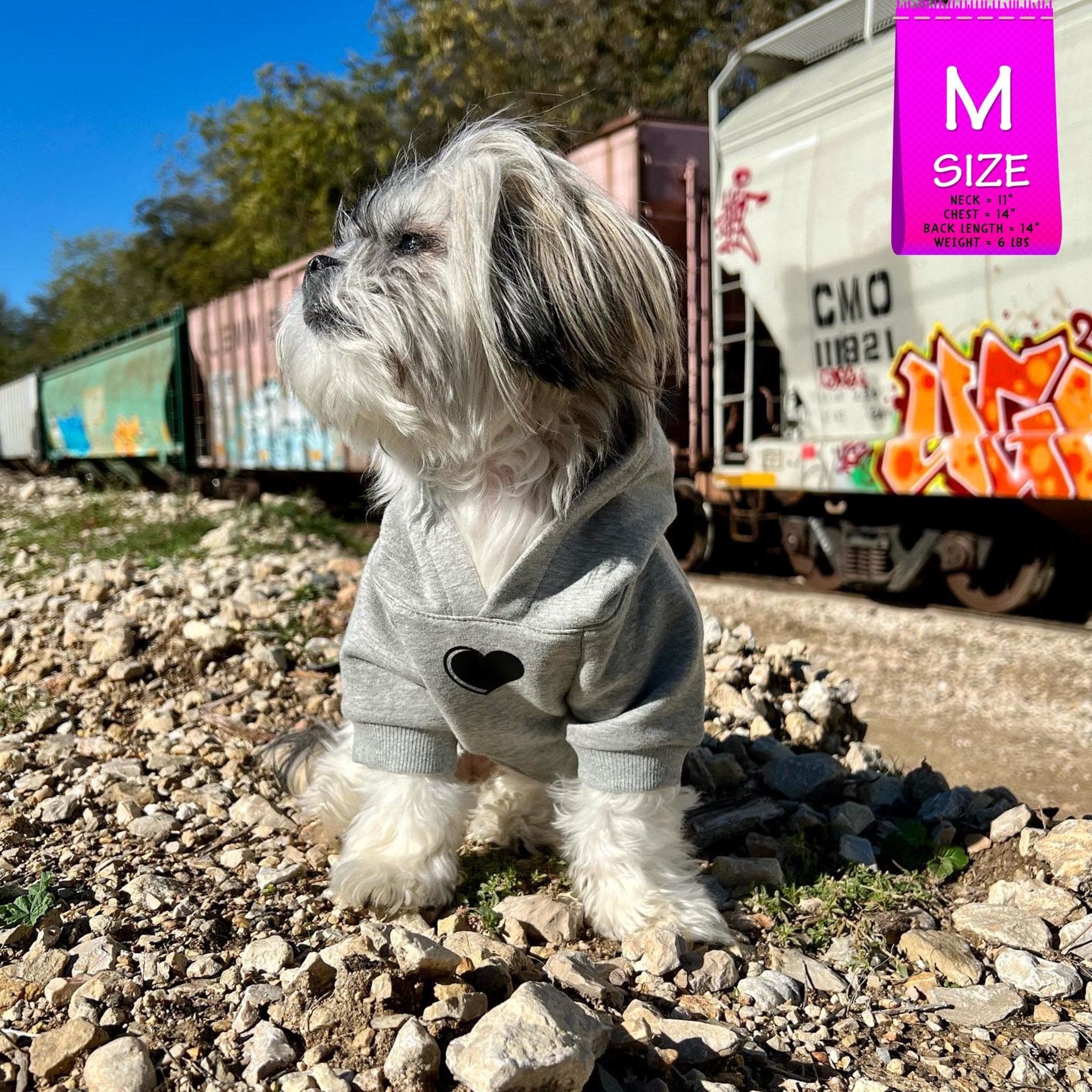 Hooded Sweatshirt For Dogs - Small dog wearing “SPOILED” hooded sweatshirt in gray - front chest has a solid black heart emoji - outdoors with graffiti train cars in background - Wag Trendz
