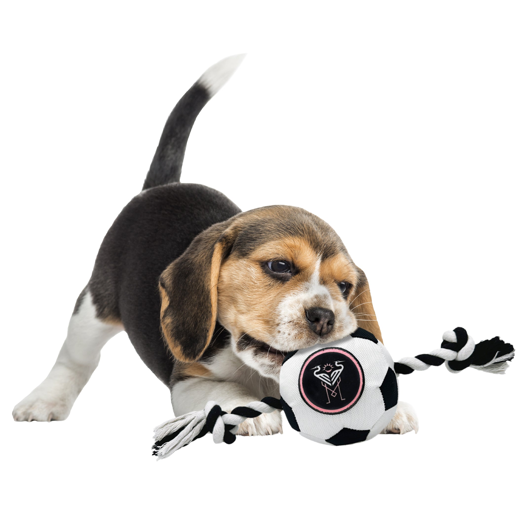 Inter Miami Soccer Ball Rope Toy - Image 2