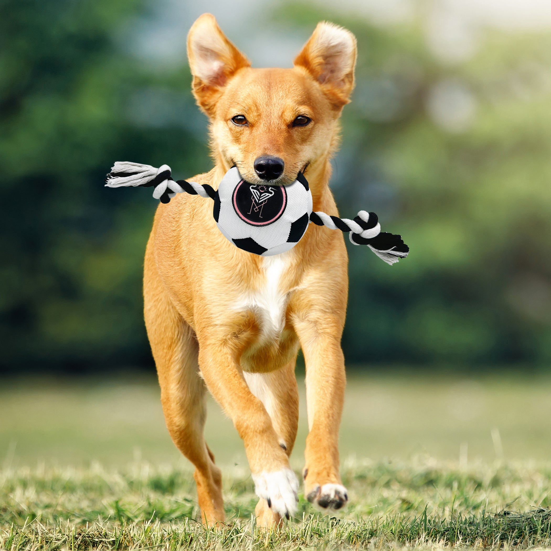 Inter Miami Soccer Ball Rope Toy - Image 3