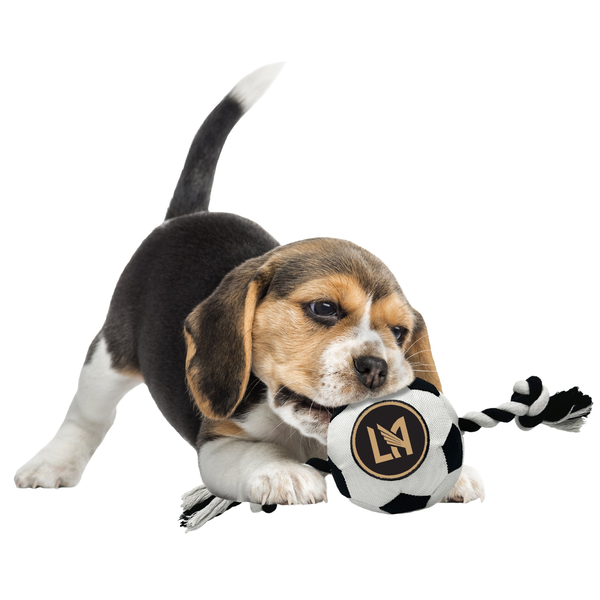 Los Angeles FC Soccer Ball Rope Toy - Image 2