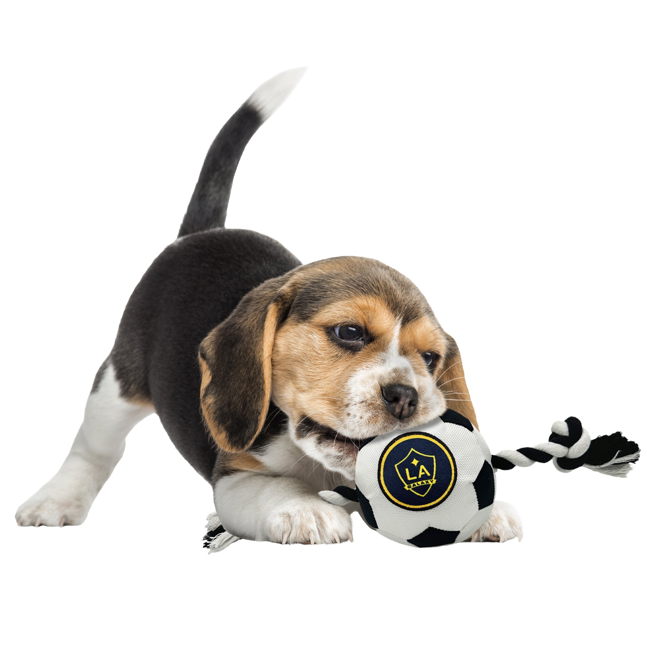 LA Galaxy Soccer Ball Rope Toy - Image 2