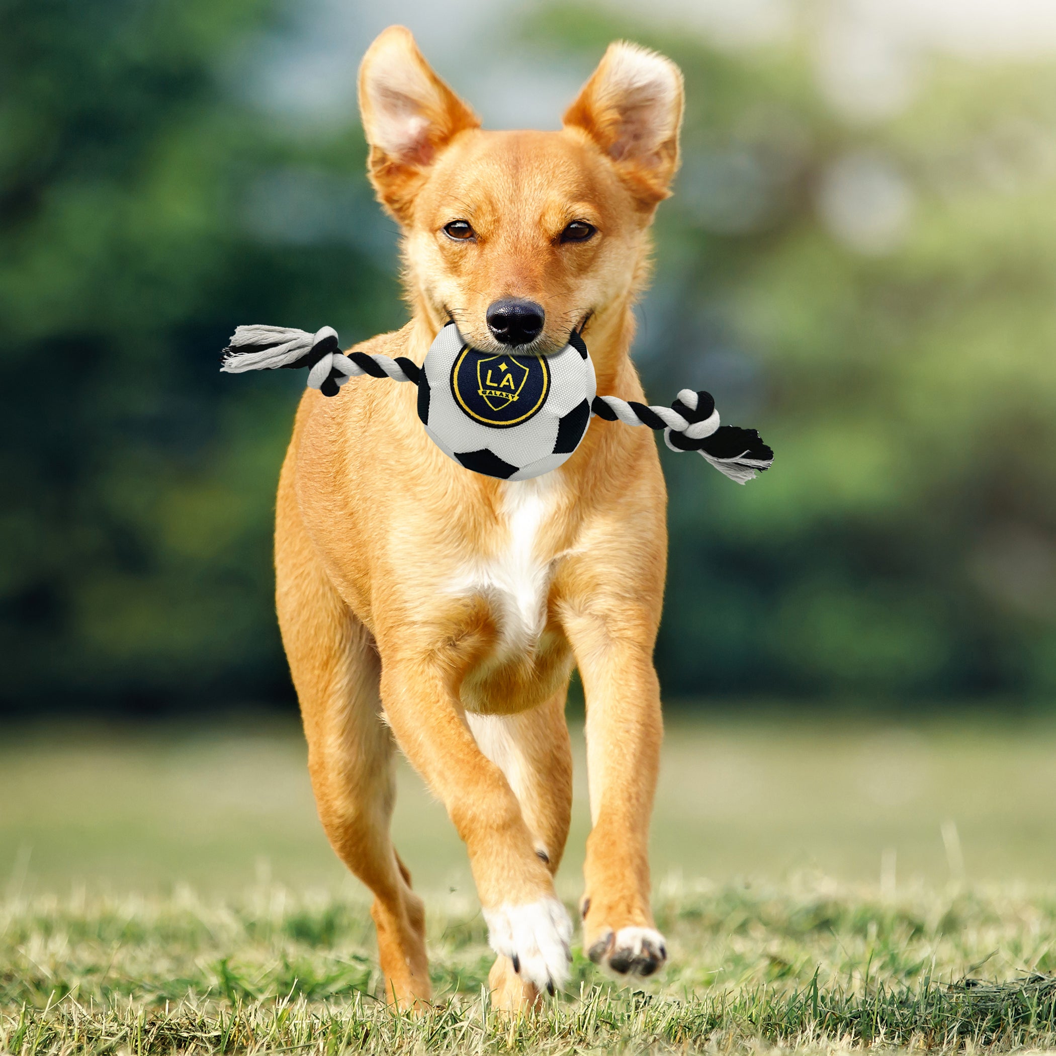 LA Galaxy Soccer Ball Rope Toy - Image 3