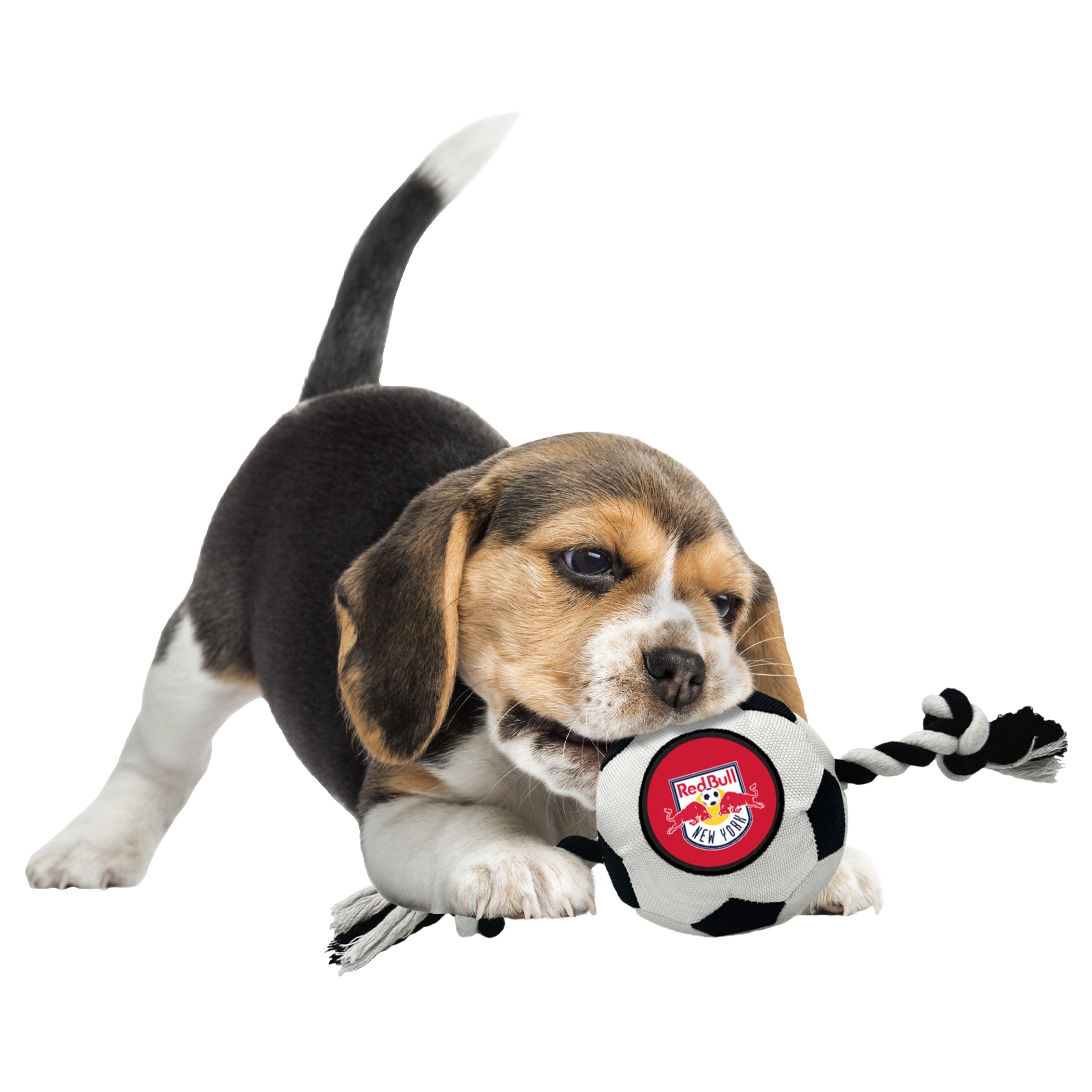 New York Red Bulls Soccer Ball Rope Toy - Image 2