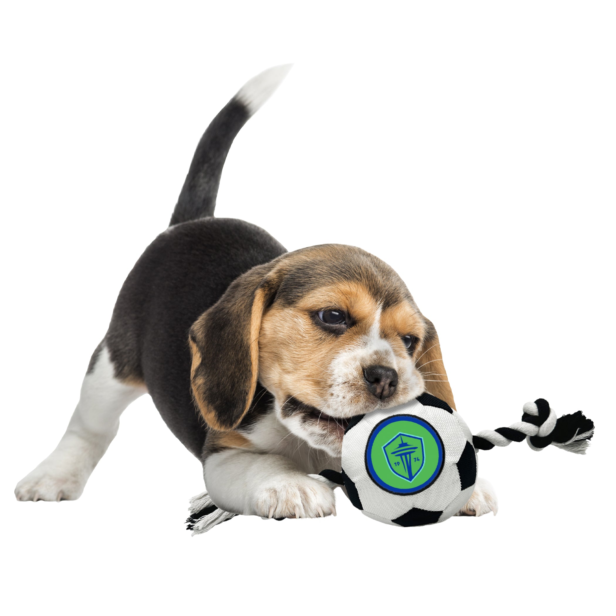 Seattle Sounders FC Soccer Ball Rope Toy - Image 2
