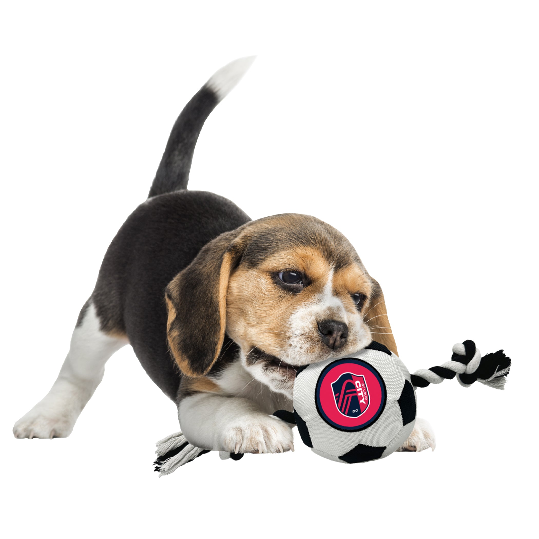 St. Louis FC Soccer Ball Rope Toy - Image 2