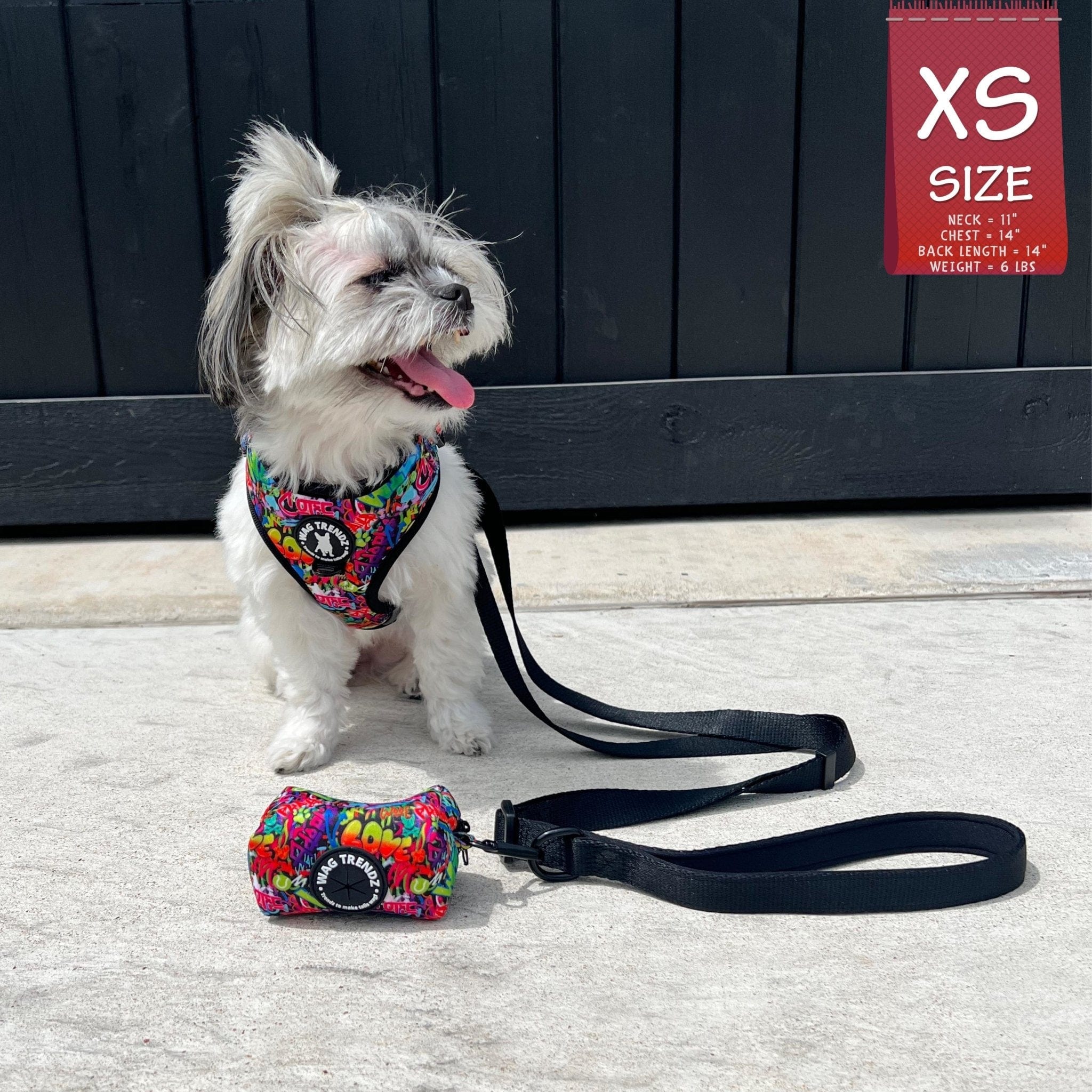 Adjustable Dog Leash - Black with multi-colored graffiti harness worn by Shih Tzu mix sitting outside on concrete with black wall background with solid black adjustable leash and graffiti poop bag holder attached - Wag Trendz