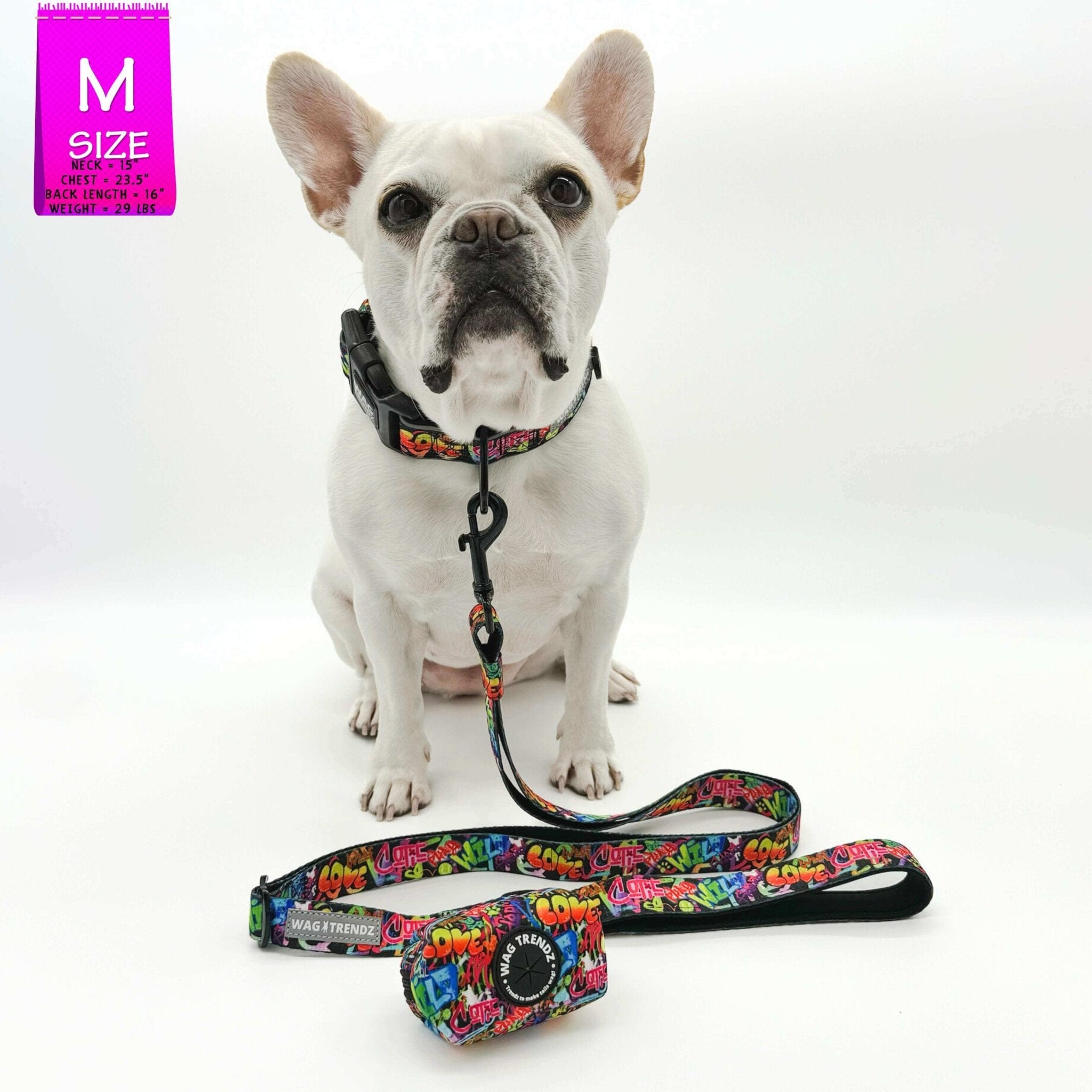 Adjustable Dog Leash - French Bulldog wearing multicolored Street Graffiti collar with matching adjustable dog leash - against solid white background - Wag Trendz