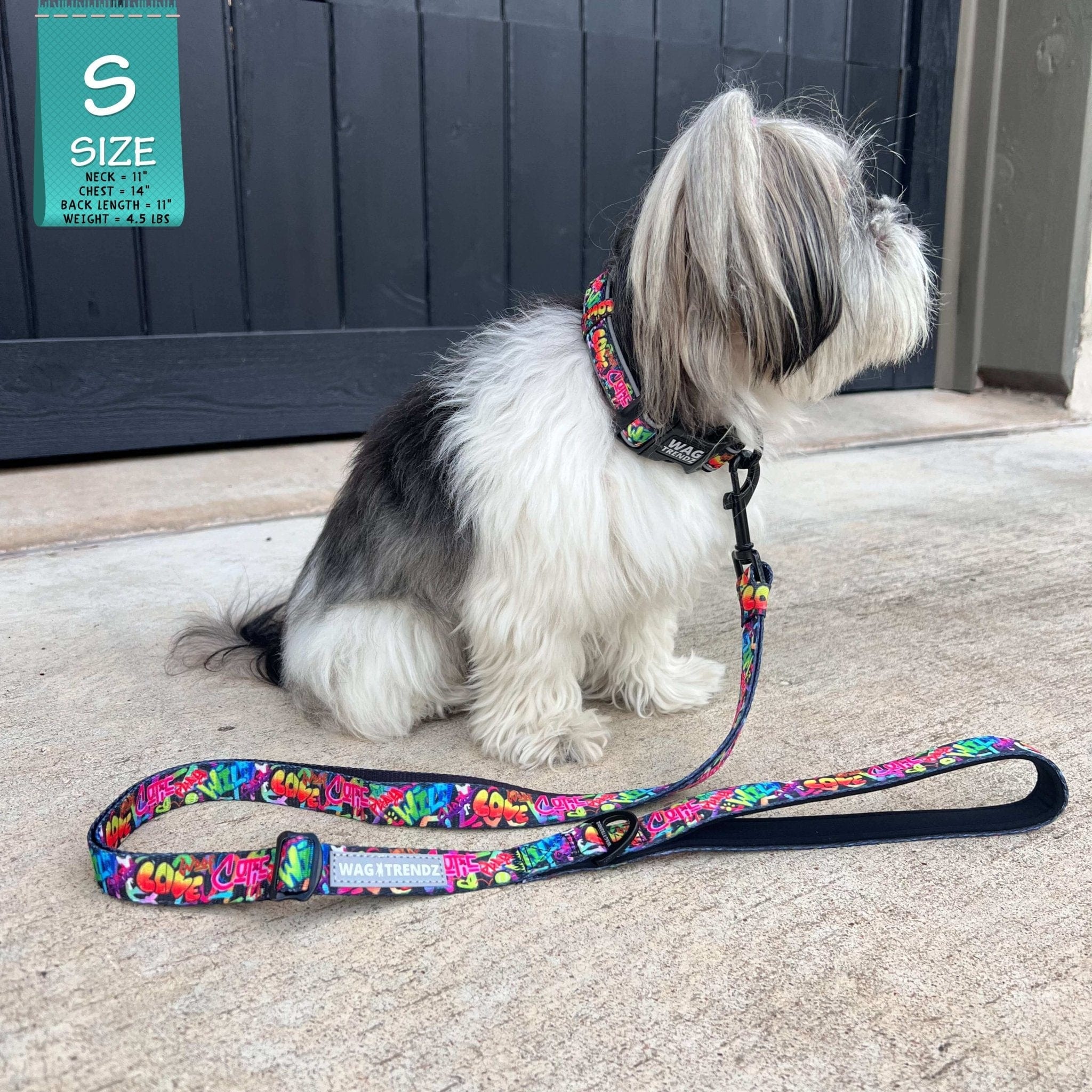 Adjustable Dog Leash - Mix breed dog wearing small multicolored Street Graffiti dog collar with matching adjustable dog leash attached - sitting outdoors on concrete - Wag Trendz