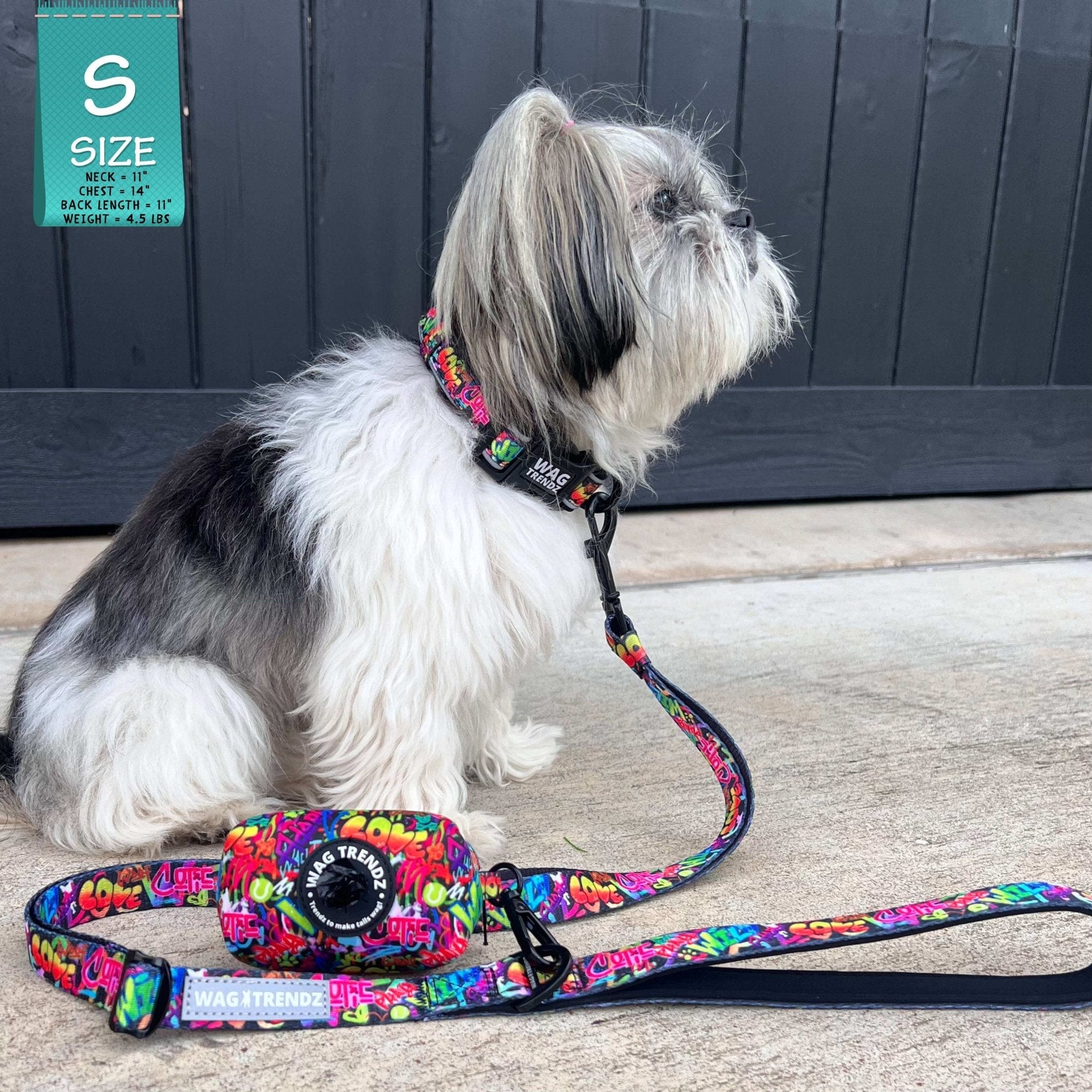 Adjustable Dog Leash - Mix breed dog wearing small multicolored Street Graffiti dog collar with matching adjustable dog leash and poop bag holder attached - sitting outdoors on concrete - Wag Trendz