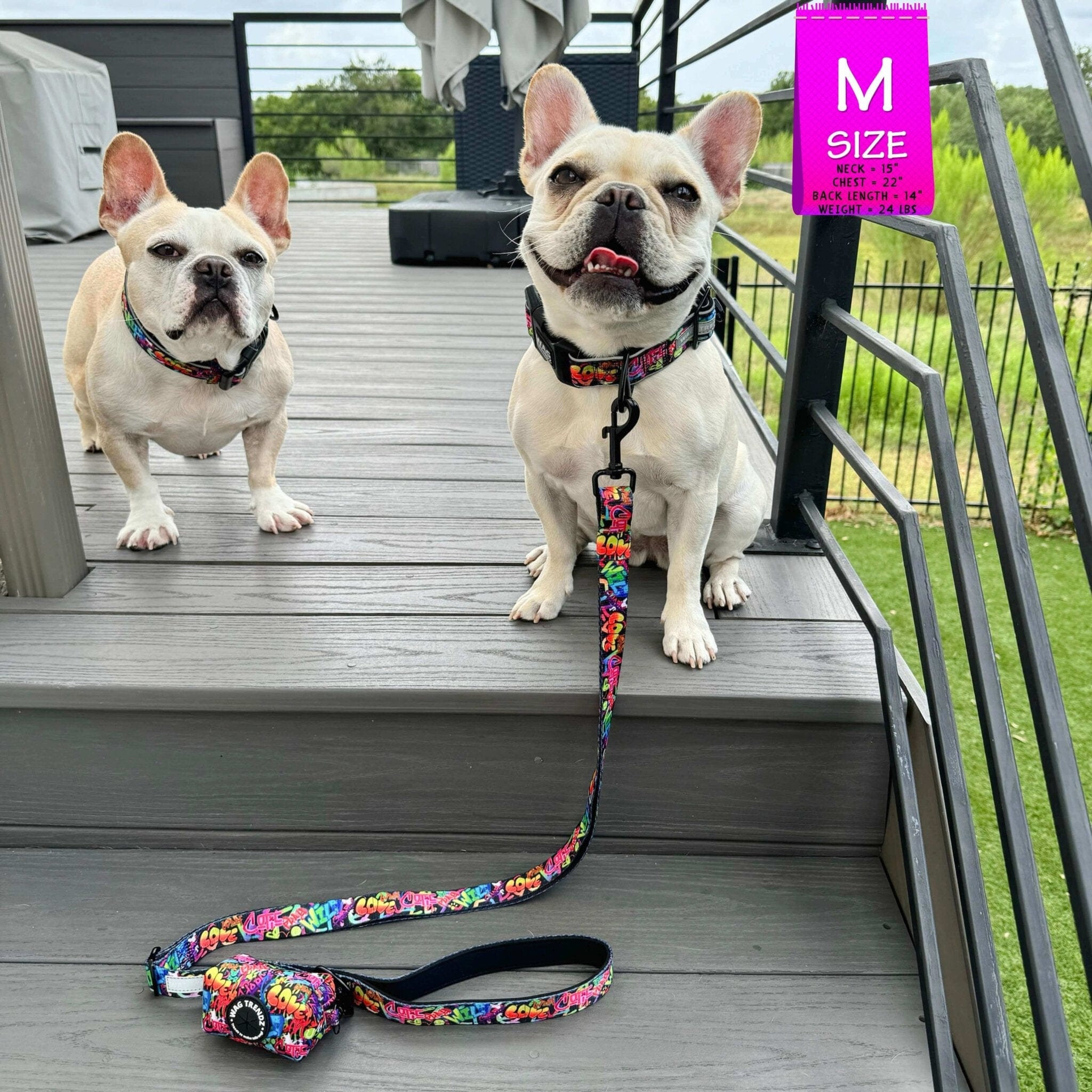 Adjustable Dog Leash - French Bulldogs wearing medium multicolored Street Graffiti dog collar with matching adjustable dog leash and poop bag holder attached - sitting outdoors on a grey deck - Wag Trendz