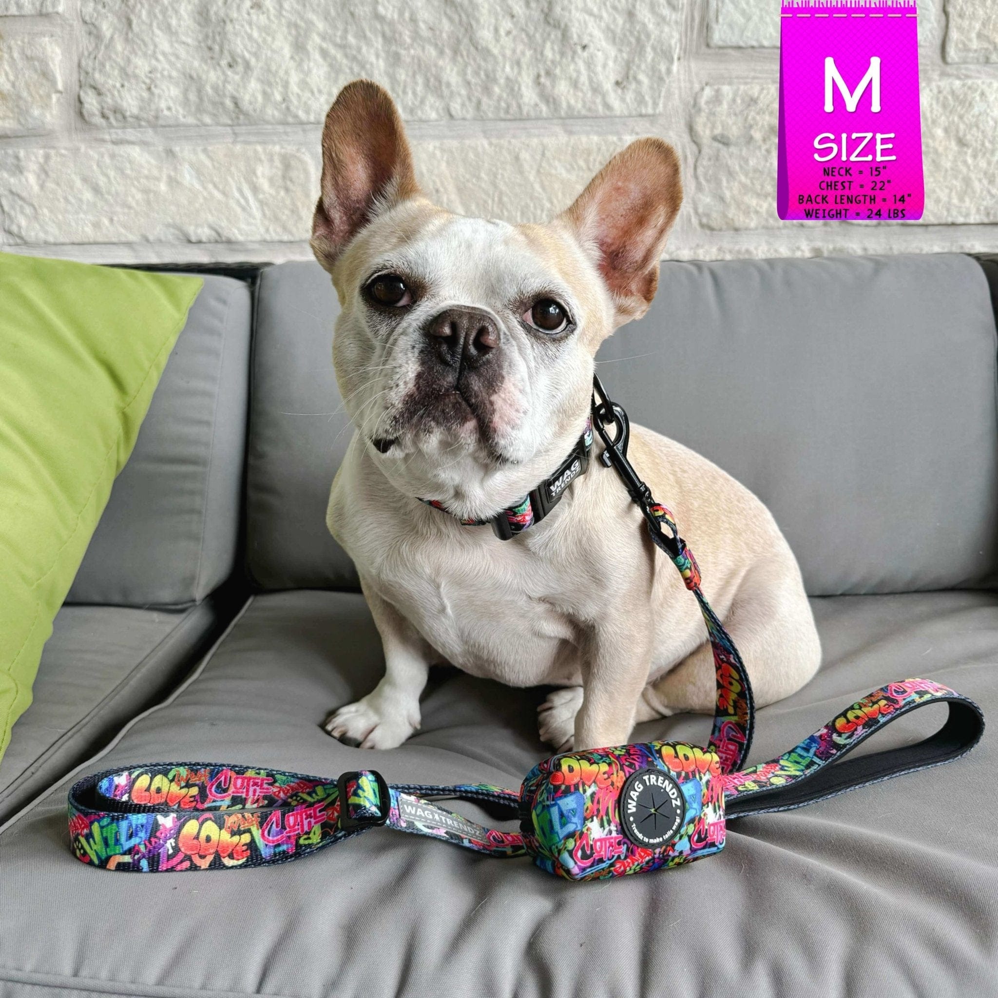 Adjustable Dog Leash - French Bulldog wearing medium multicolored Street Graffiti dog collar with matching adjustable dog leash and poop bag holder attached - sitting outdoors on a grey couch - Wag Trendz