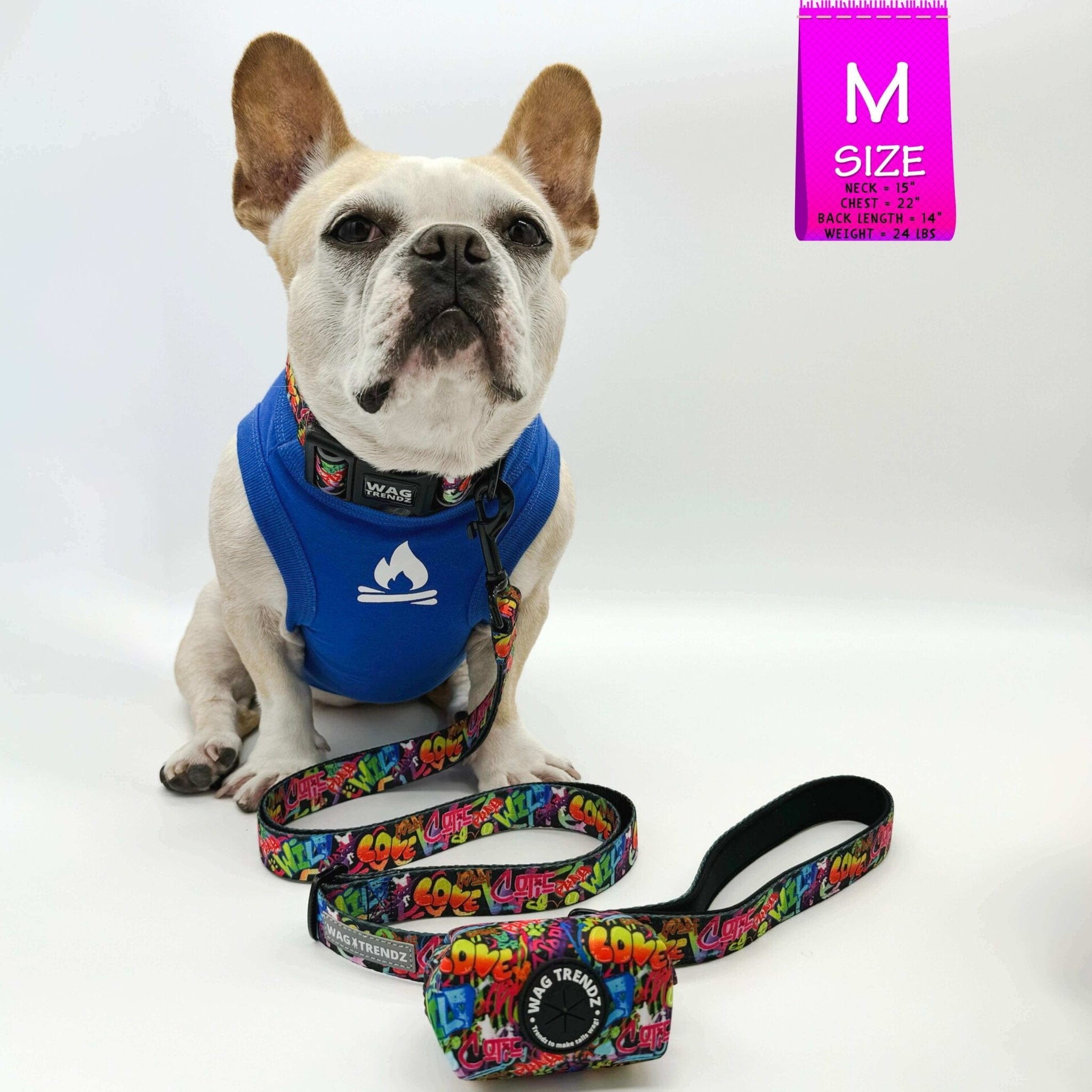 Adjustable Dog Leash - French Bulldog wearing medium multicolored Street Graffiti dog collar with matching adjustable dog leash and poop bag holder attached - against a solid white background - Wag Trendz