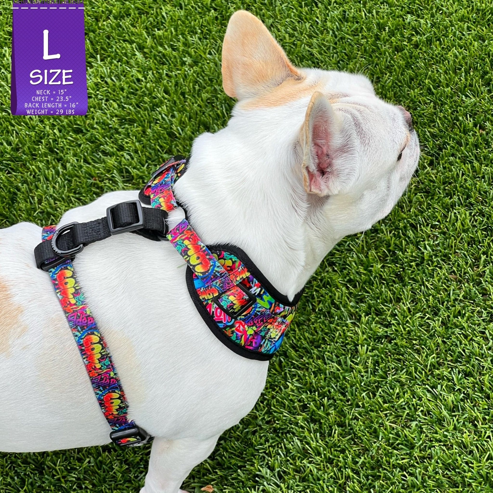No Pull Dog Harness - Adjustable - Front Clip - worn by cute white Frenchie Bulldog standing in the grass - multi-colored street graffiti design - Wag Trendz