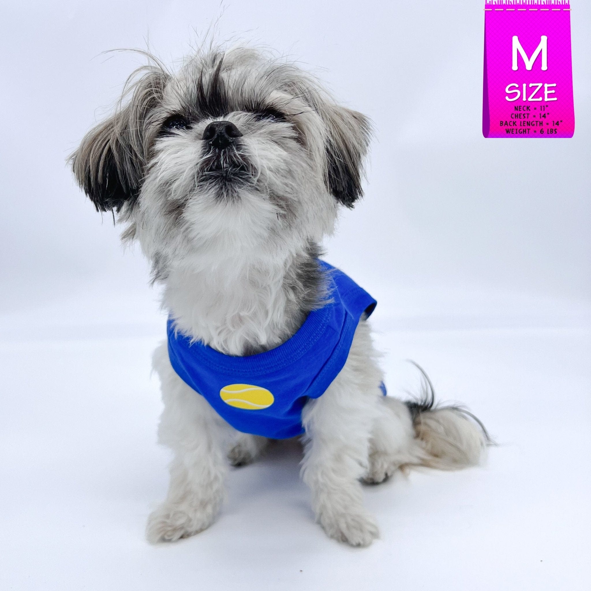 Dog T-Shirt - Shih Tzu mix wearing blue Ball Brain t-shirt with bright yellow tennis ball emoji on chest - against solid white background - Wag Trendz