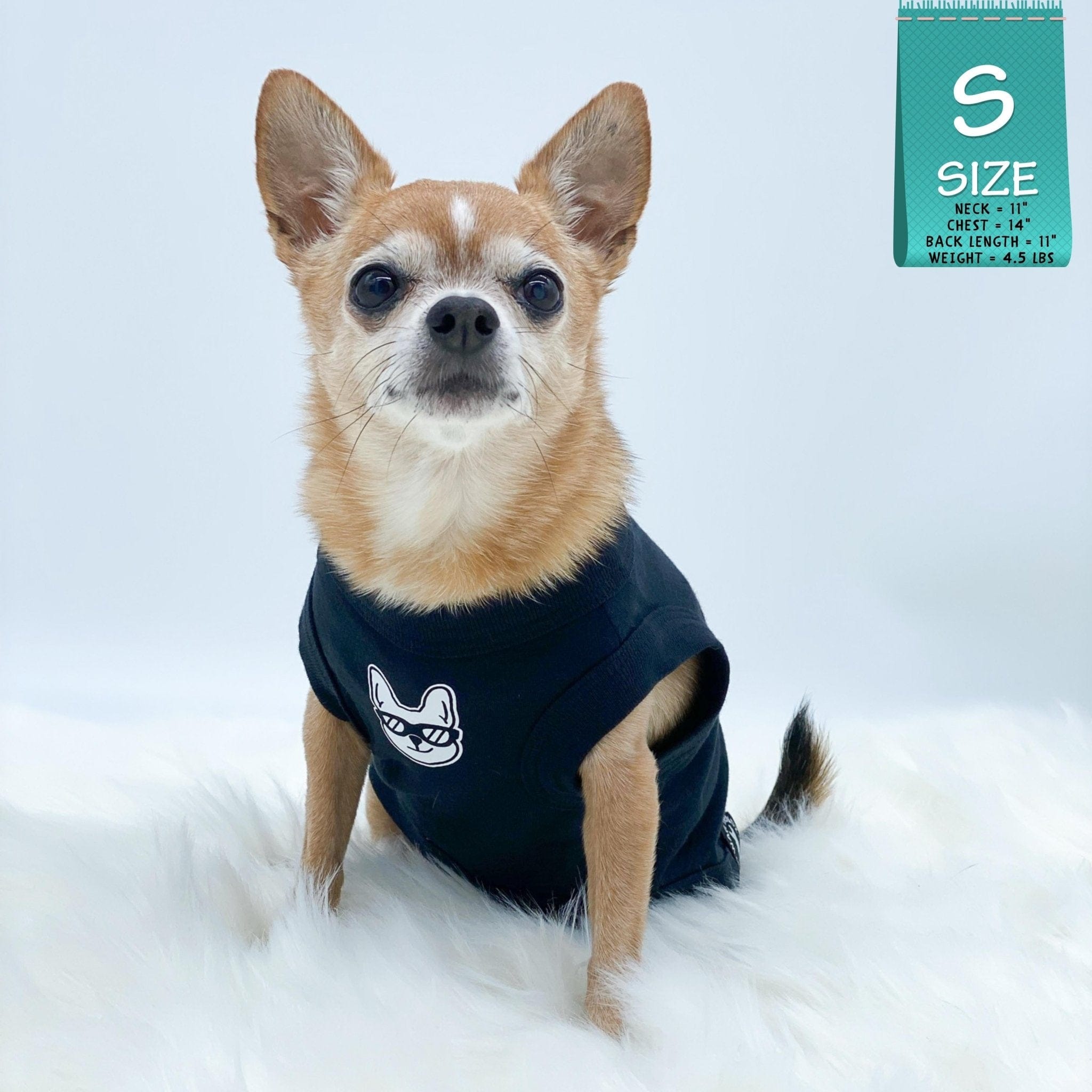 Dog T-Shirt - Chihuahua wearing "Bruh" dog t-shirt in black - with a smirk faced French Bulldog emoji on chest in white - against solid white background - Wag Trendz