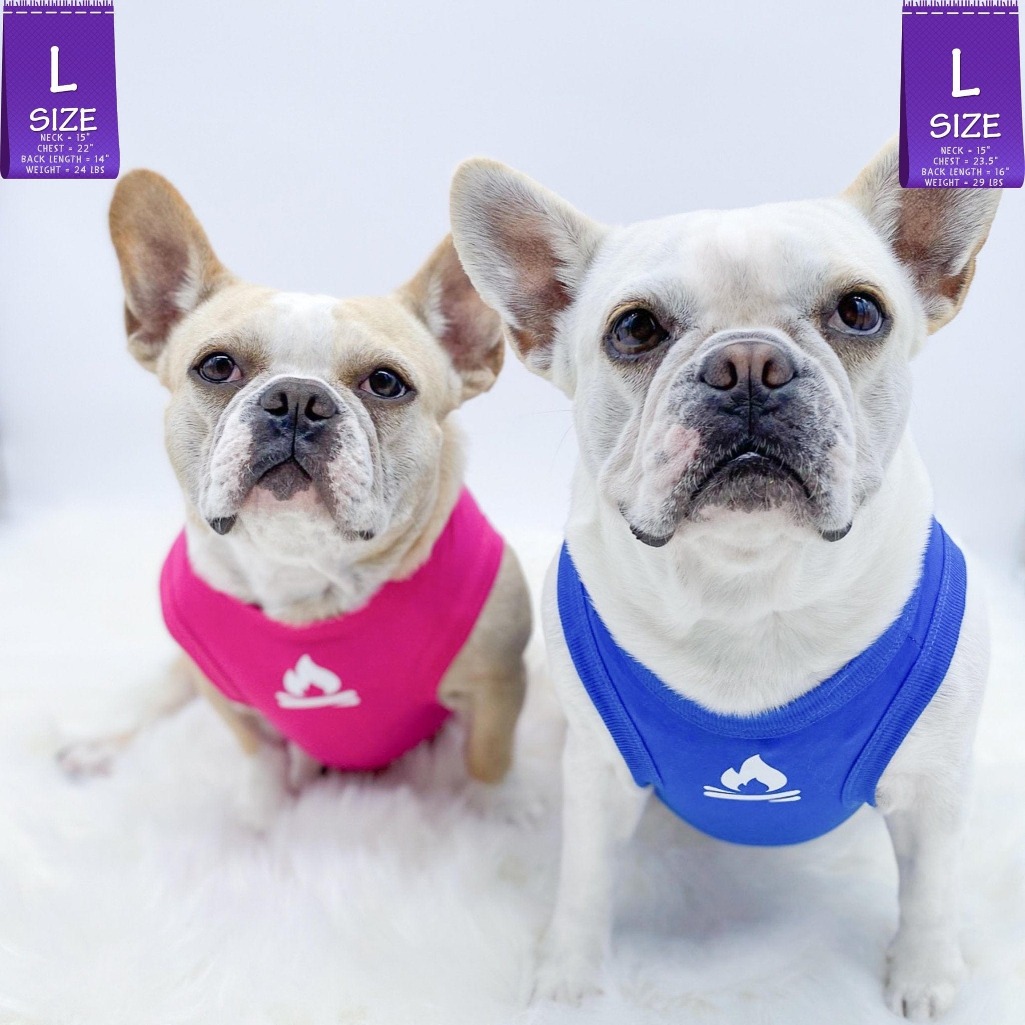 Dog T-Shirt - French Bulldogs wearing a blue and a pink "Happy Camper" dog t-shirt - with campfire emoji on chest in white - against solid white background - Wag Trendz
